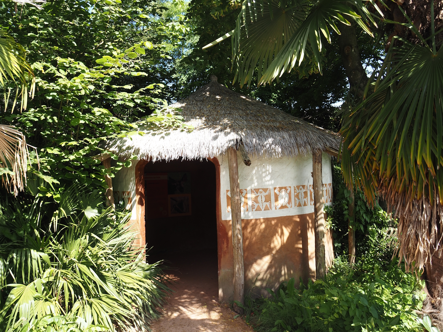 African rainforest education hut, 2024-06-30