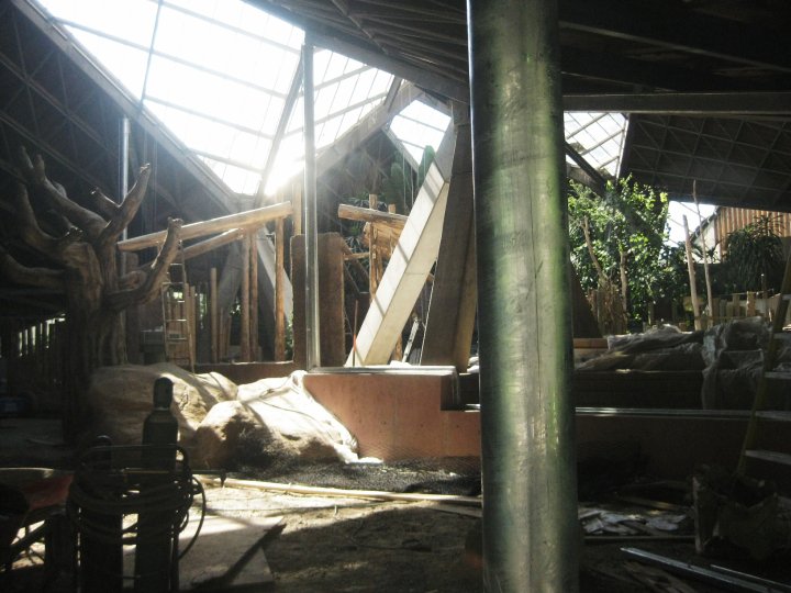 African Rainforest Pavilion Construction