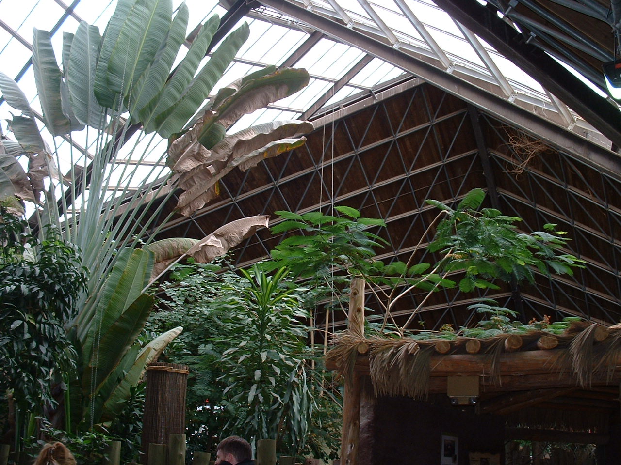 African Rainforest Pavilion - Nov 2012