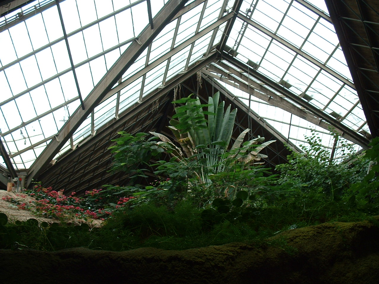 African Rainforest Pavilion - Nov 2012