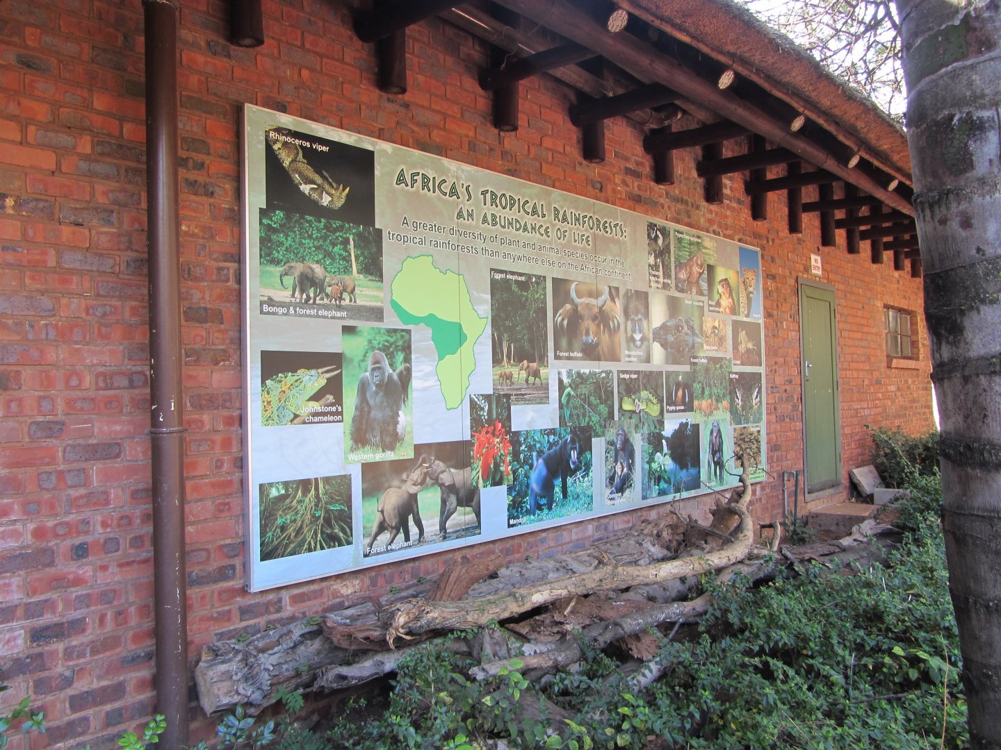 African Rainforest Signage
