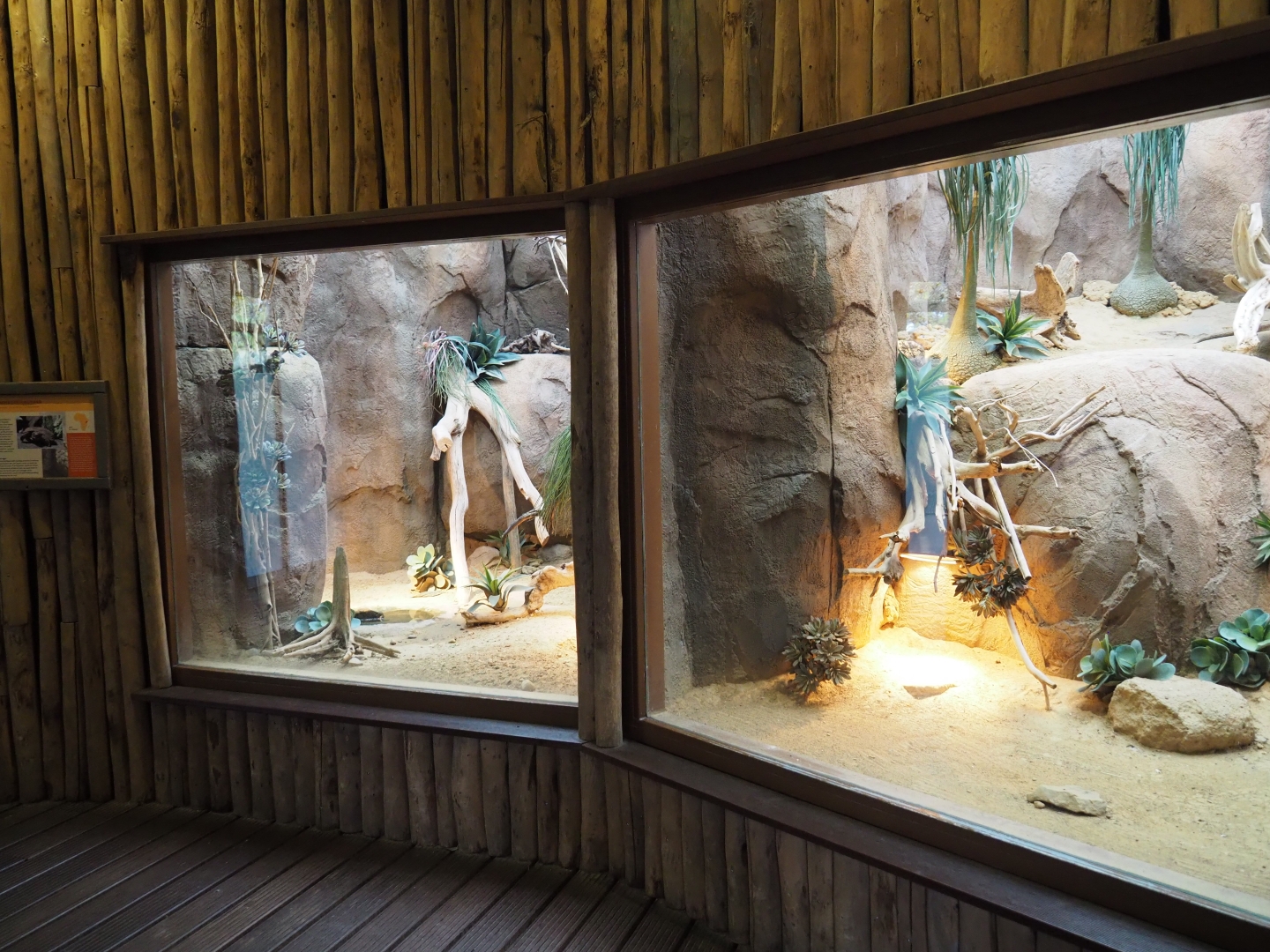 African reptile terraria (Nov 10th, 2018)