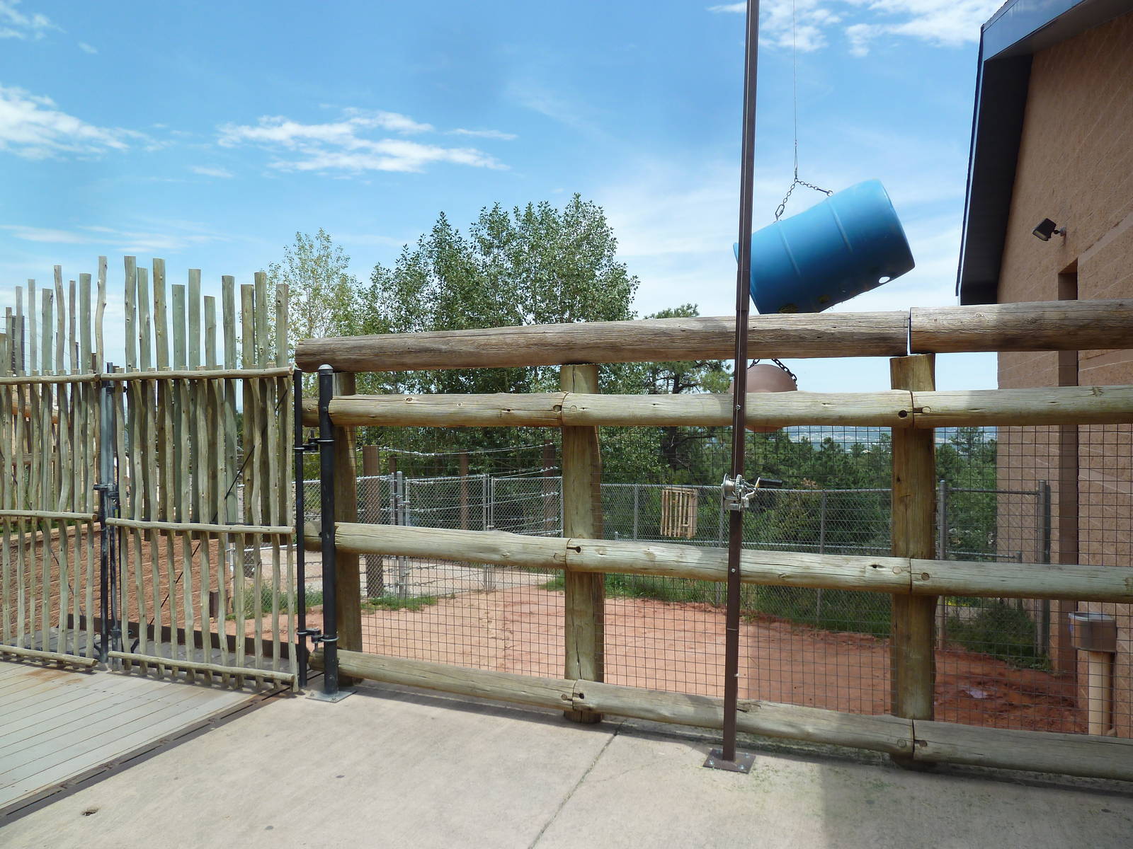 African Rift Valley - Exhibit with 20 Giraffes (side yard)