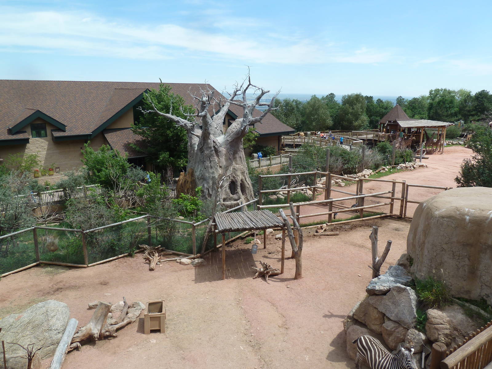 African Rift Valley - Grant's Zebra + Reticulated Giraffe Exhibits