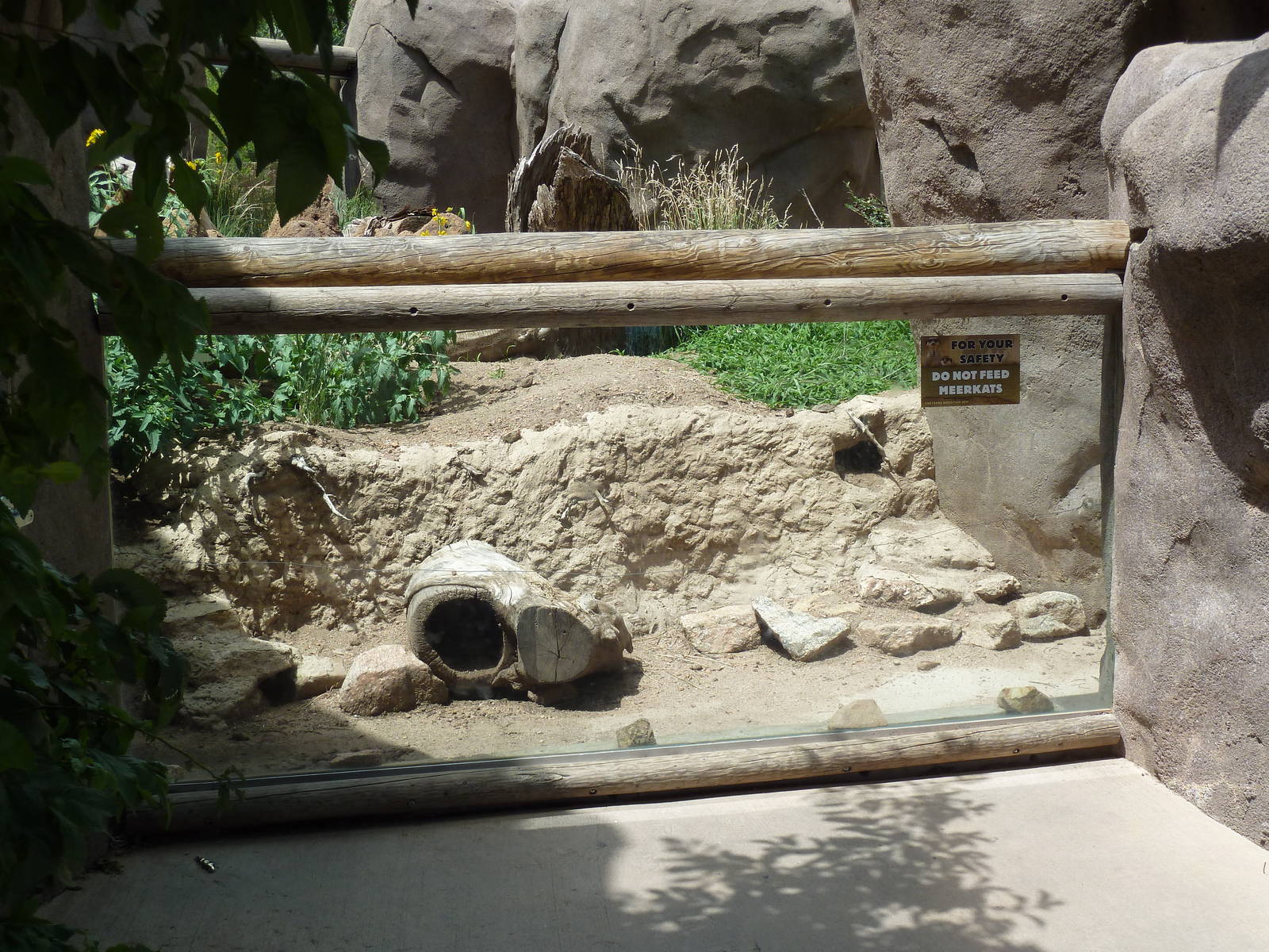African Rift Valley - Meerkat Exhibit