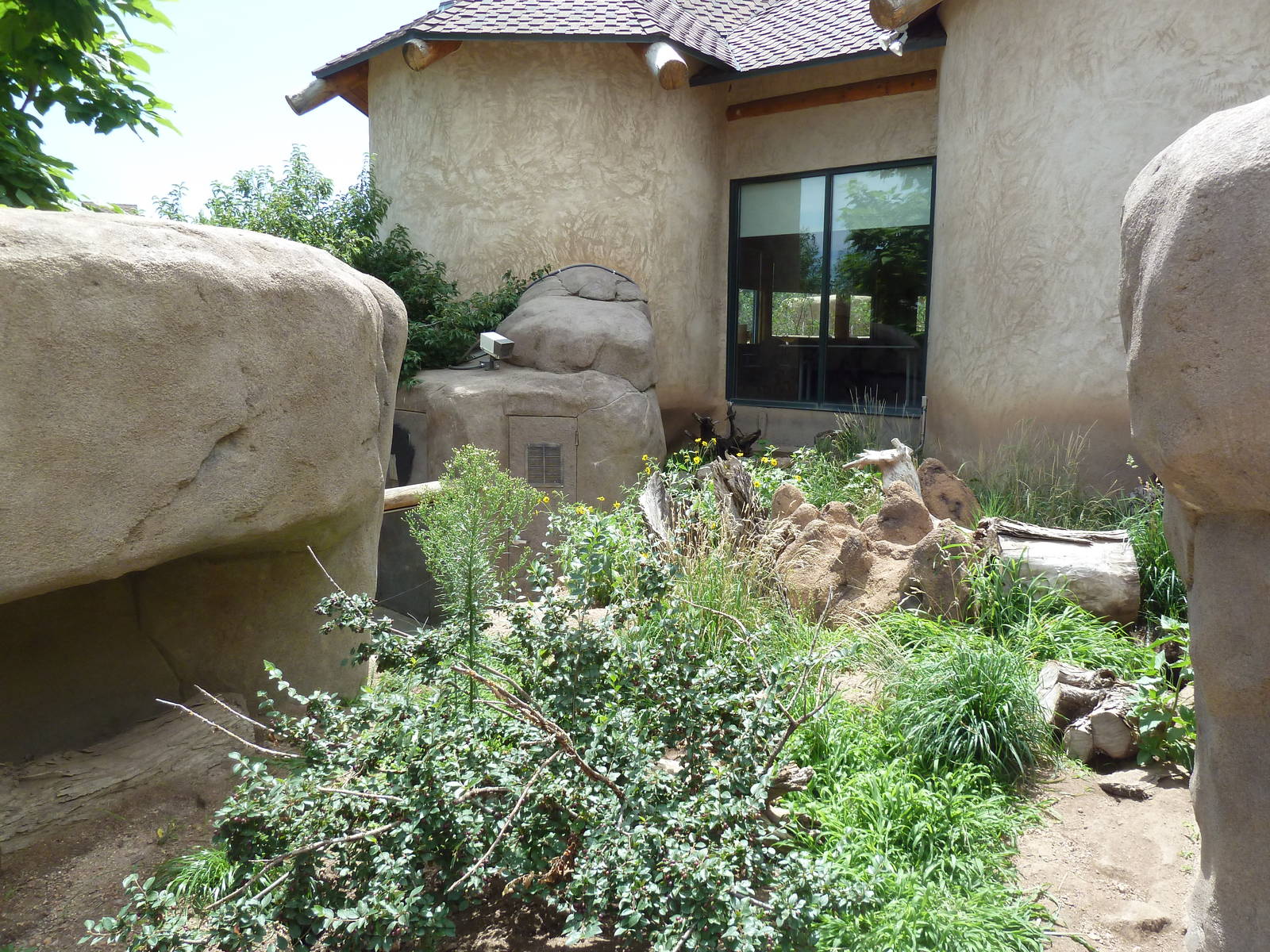 African Rift Valley - Meerkat Exhibit