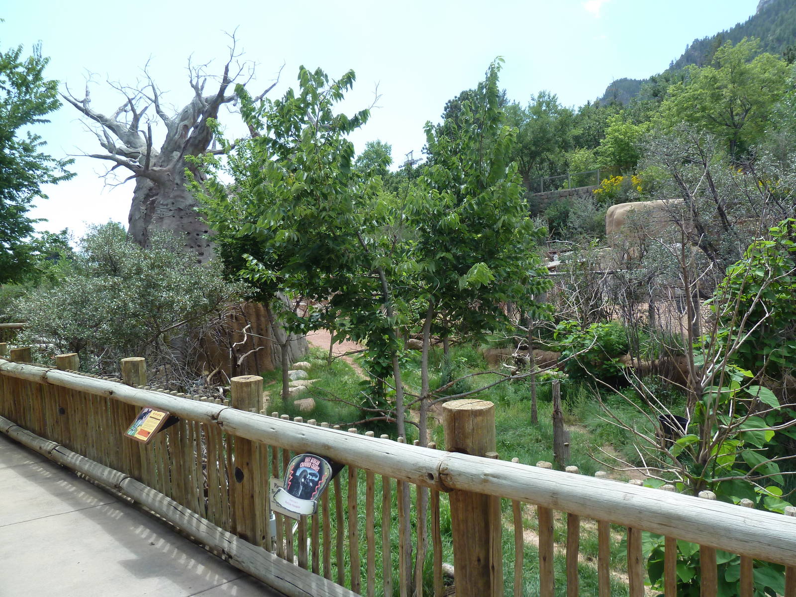 African Rift Valley - Okapi/East African Crowned Crane Exhibit
