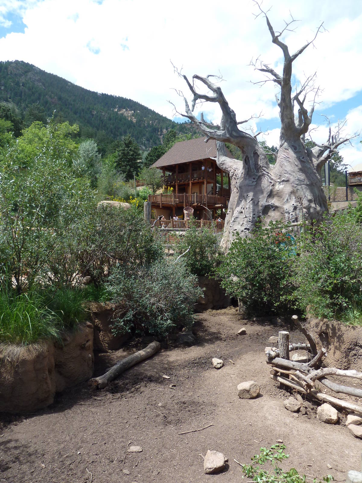 African Rift Valley - Red River Hog Exhibit