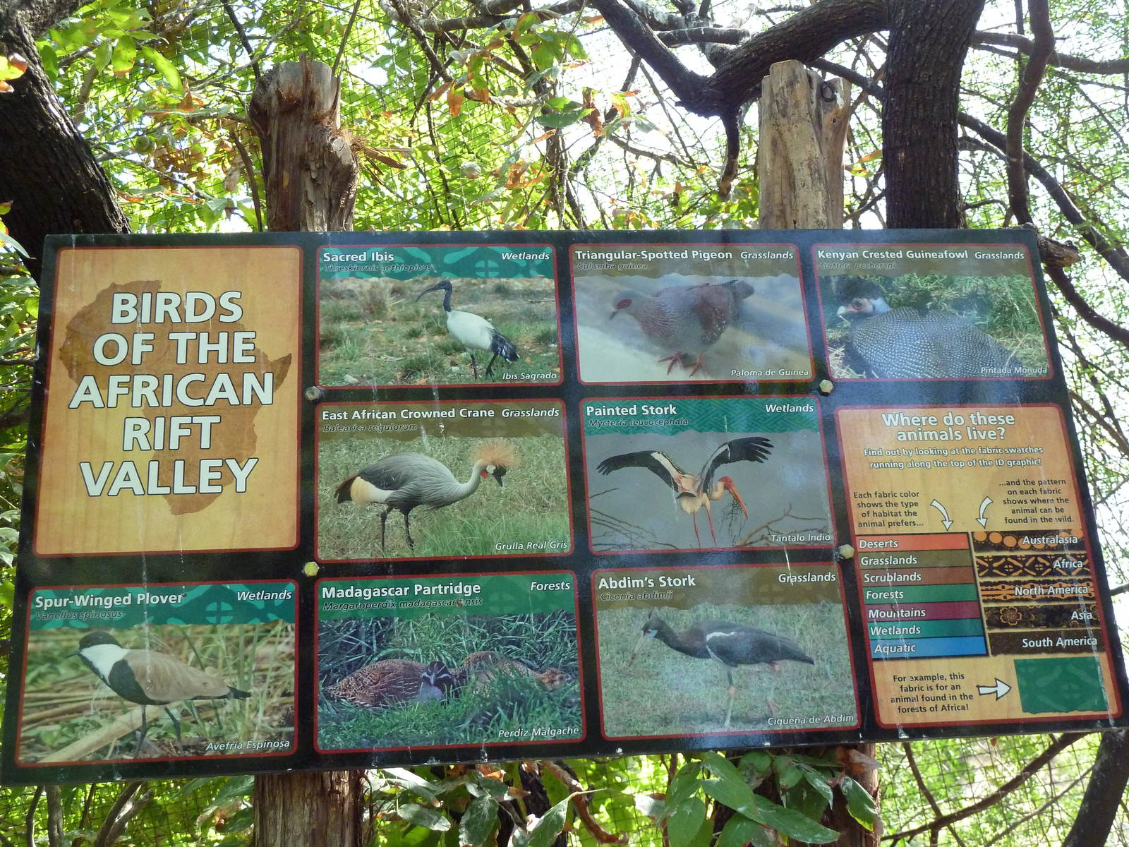 African Rift Valley - Walk-Through Aviary Signage