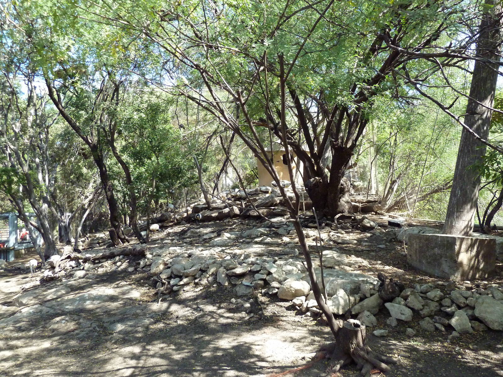 African Rift Valley - Walk-Through Aviary