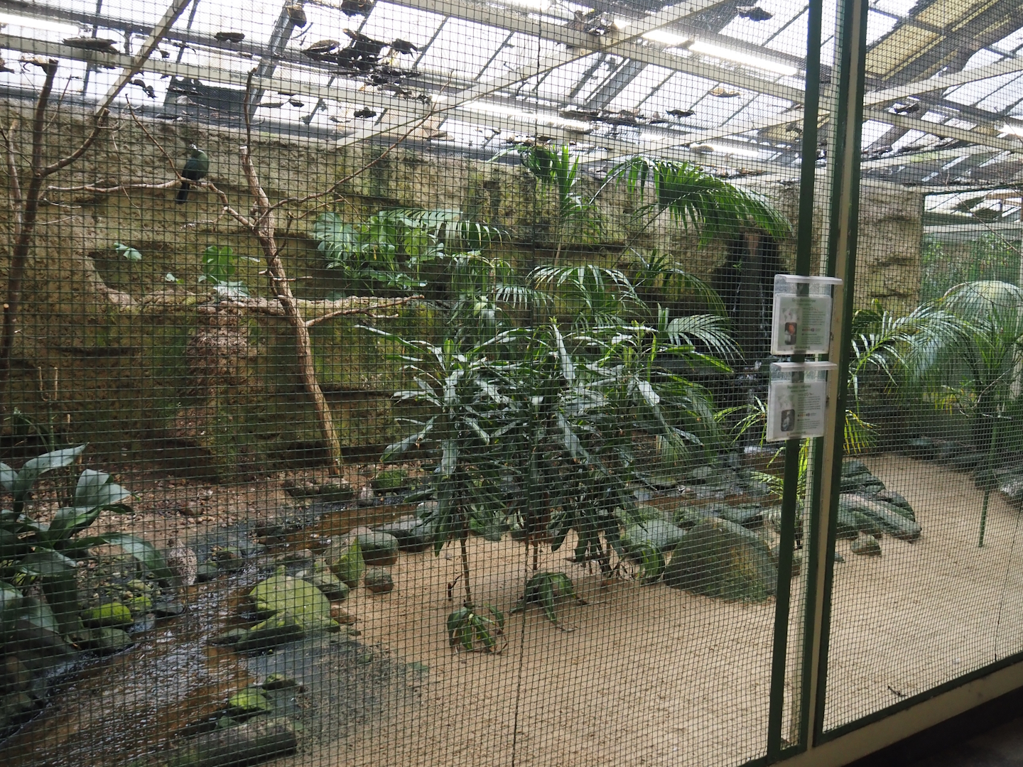 African river aviary, 2024-05-22