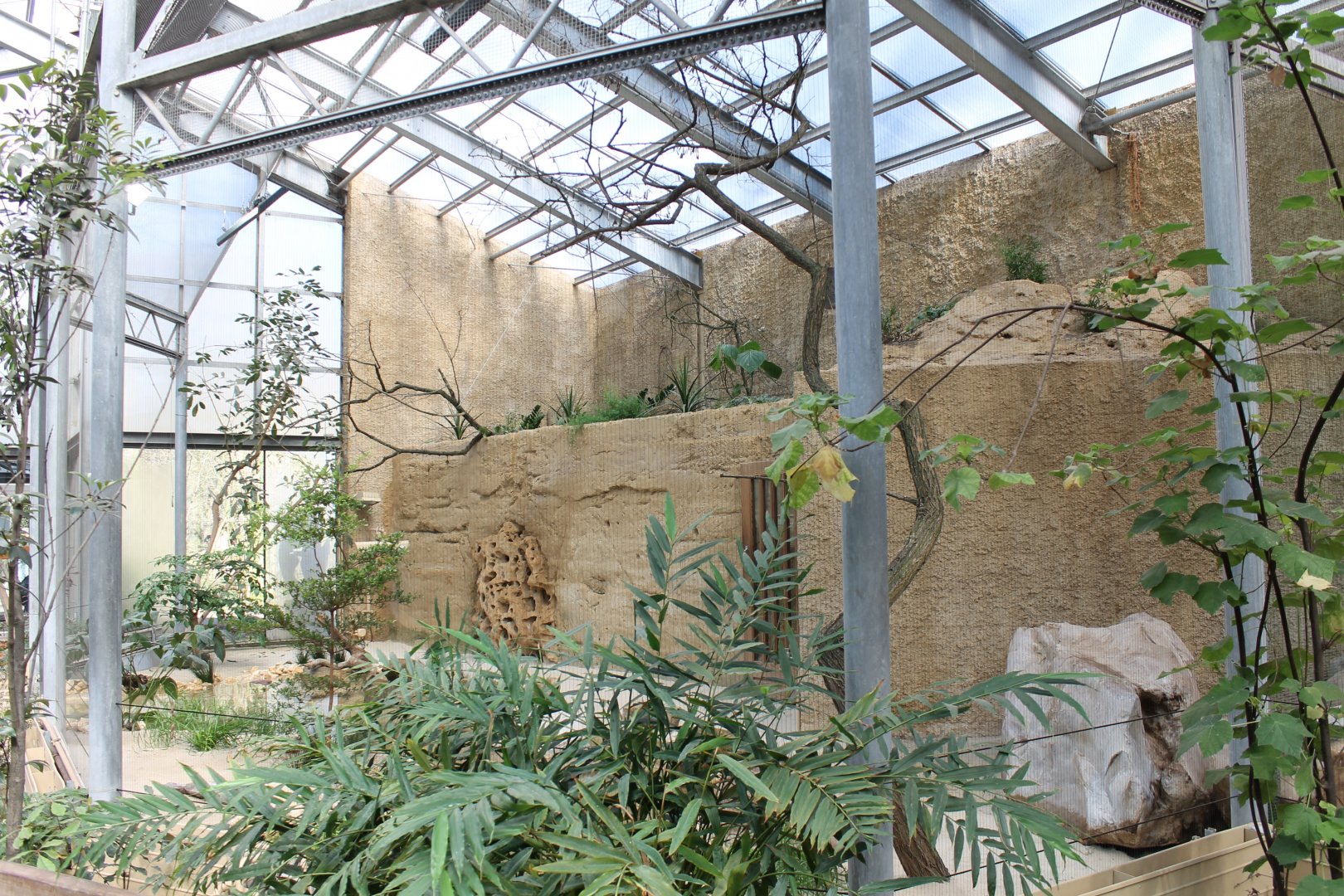 African riverbank-aviary