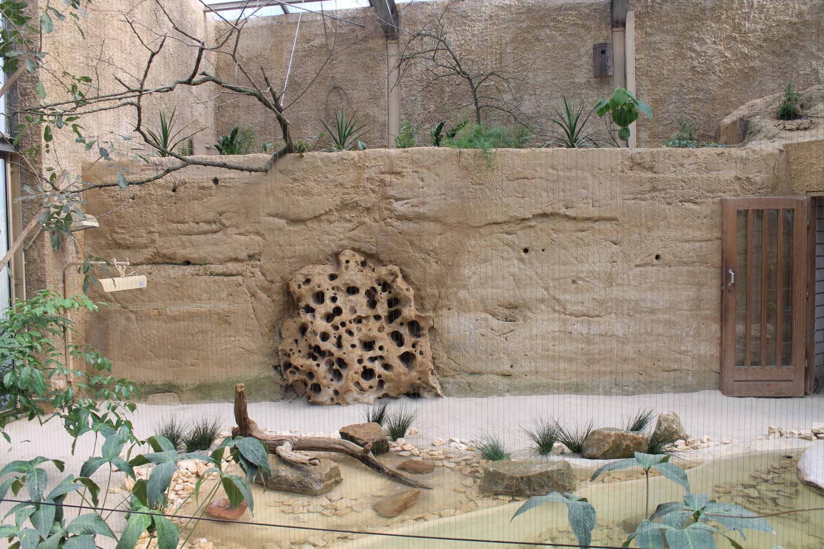 African riverbank-aviary