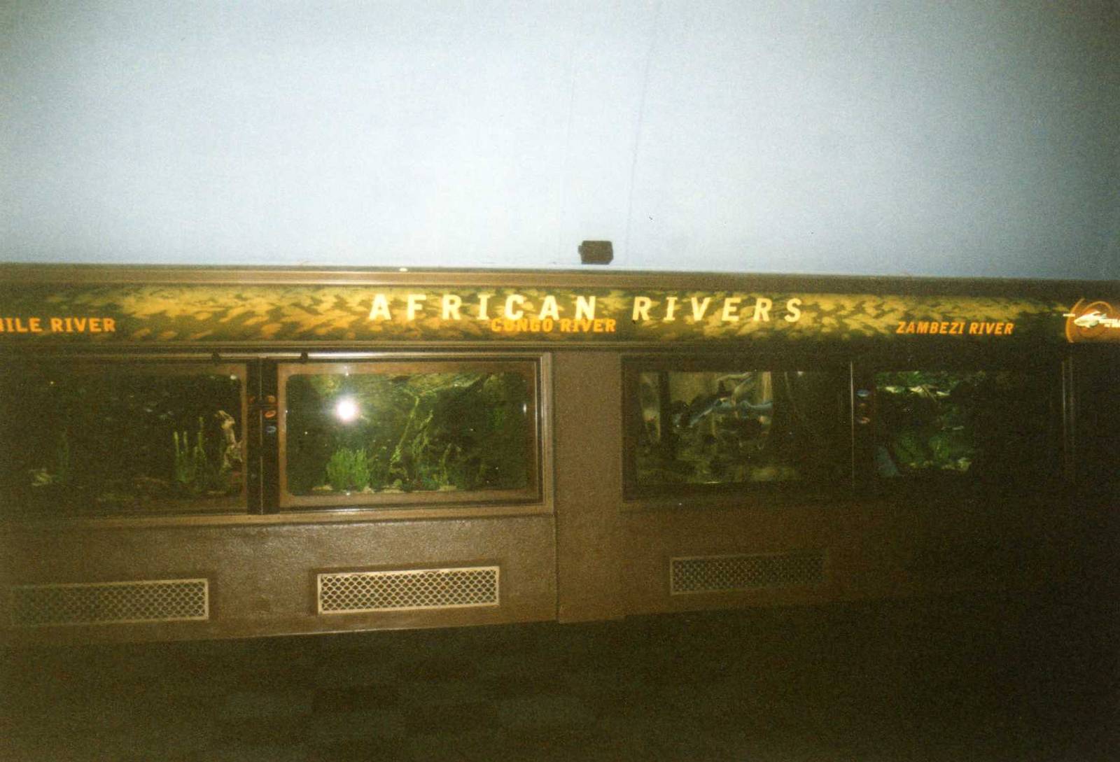 African rivers Tanks