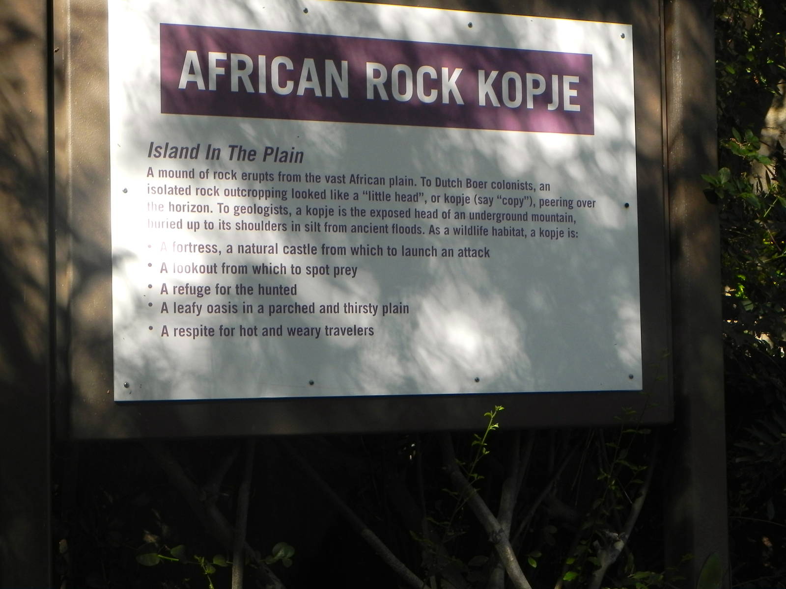 African Rock Kopje