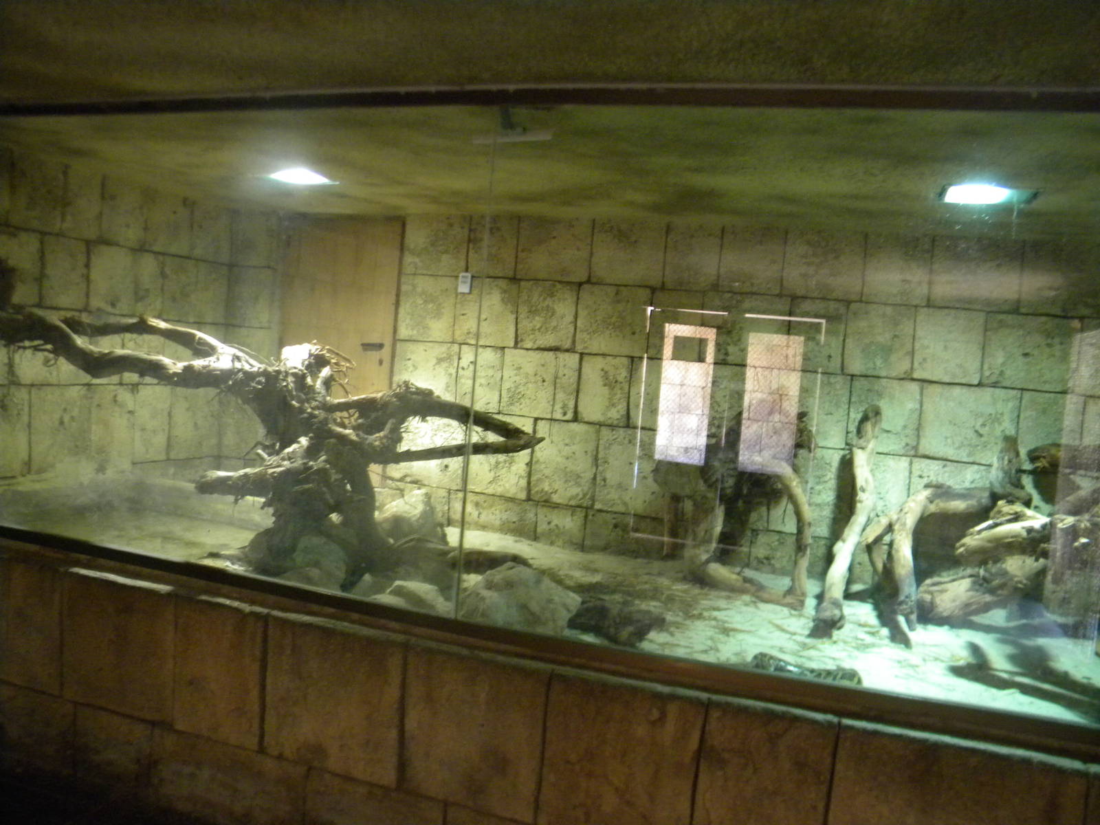 African Rock Python enclosure at Terra Natura 29/07/11