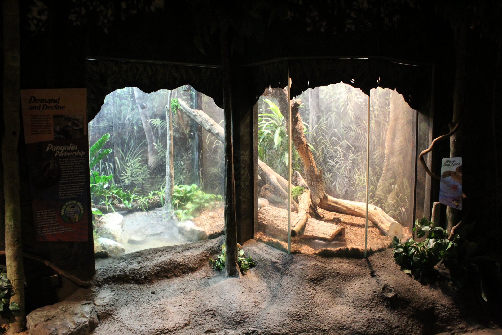 African Rock Python Exhibit - Habitat Africa! The Forest