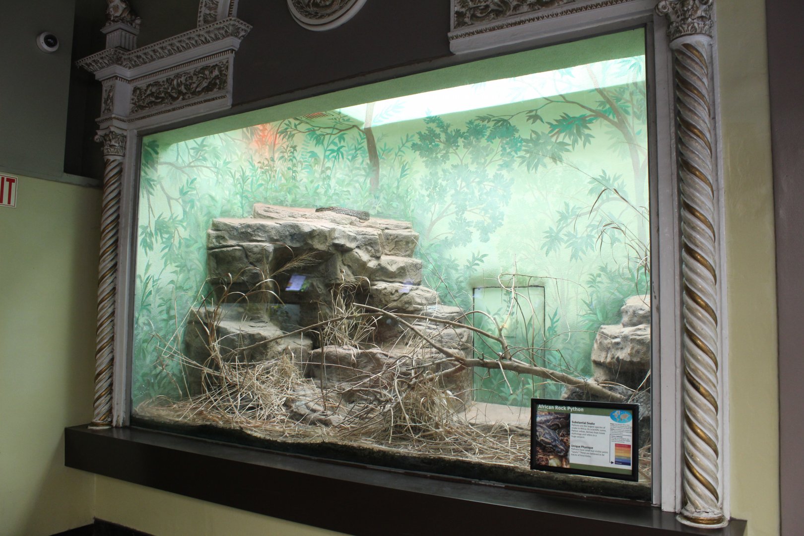African Rock Python Exhibit - Herpetarium