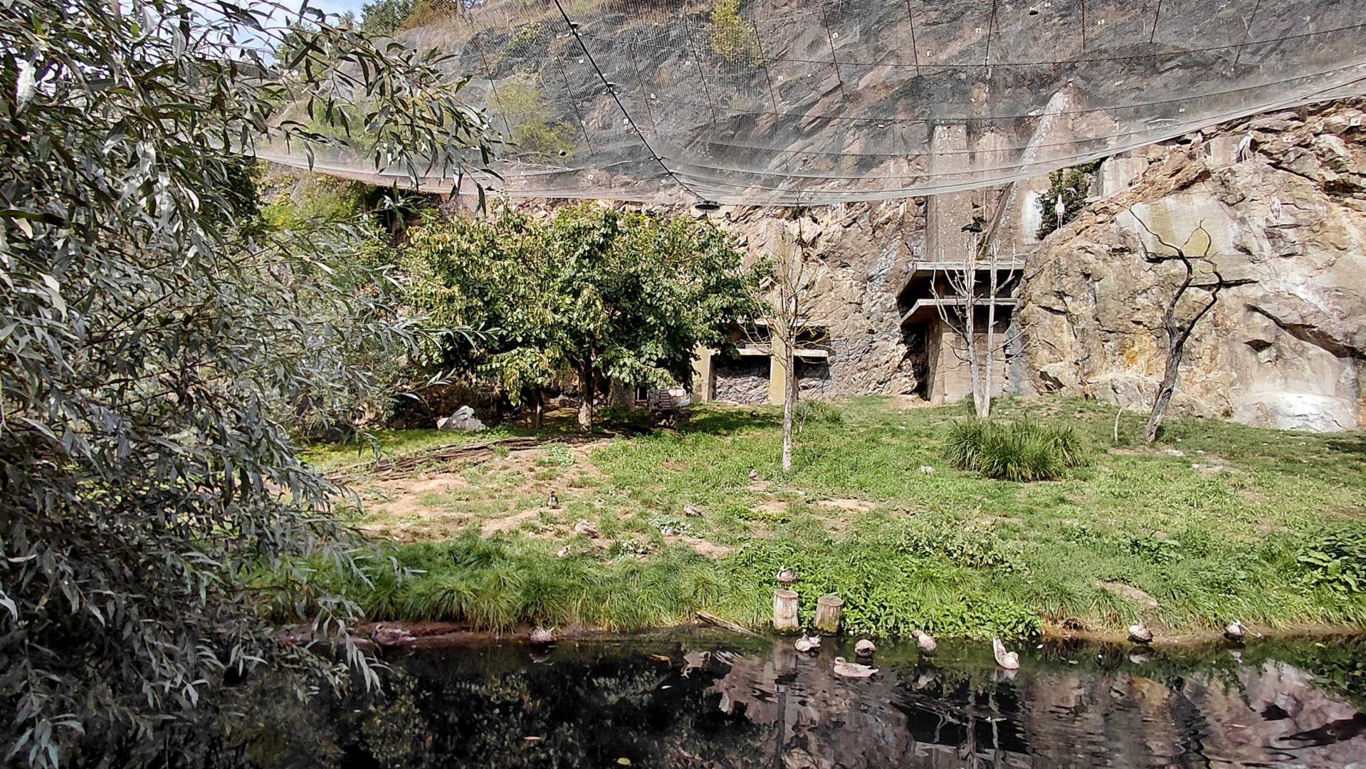 African rocks walkthrough aviary