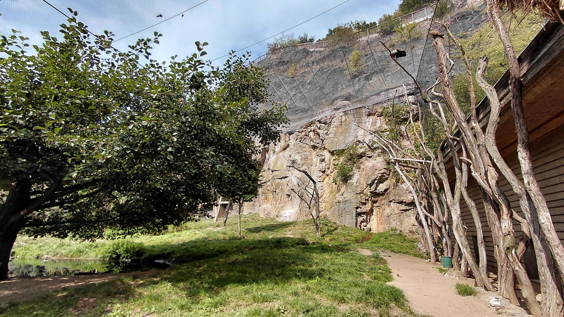 African rocks walkthrough aviary