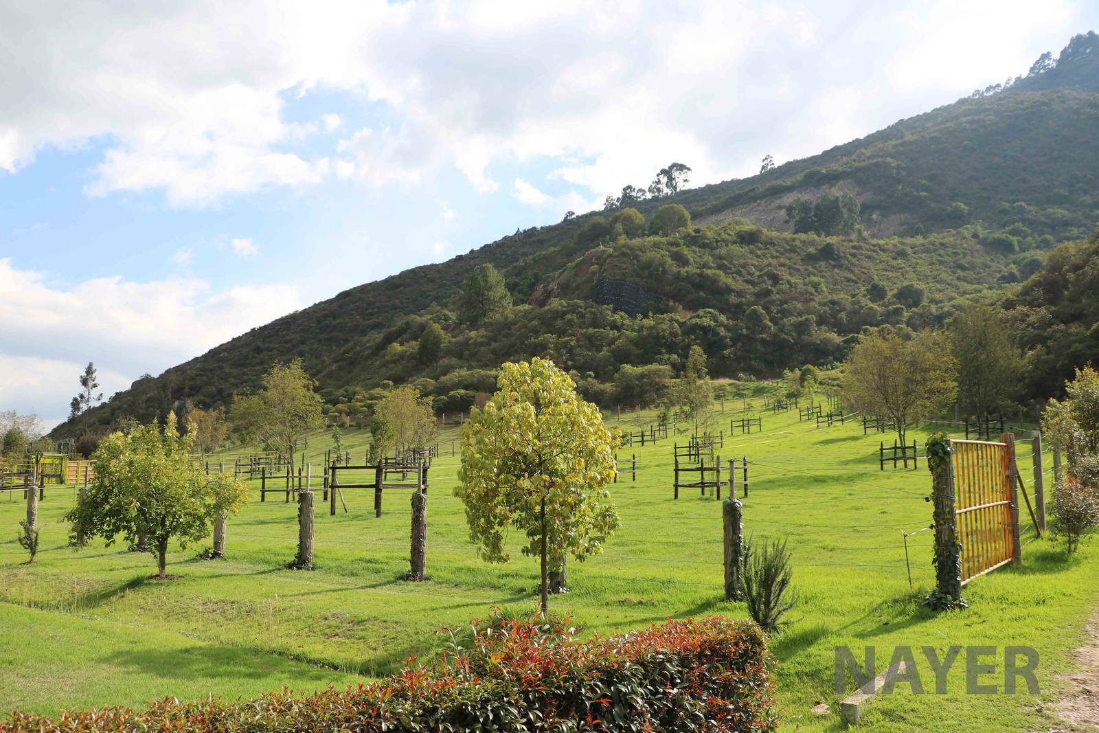 African/'safari' animal paddocks, March 2016