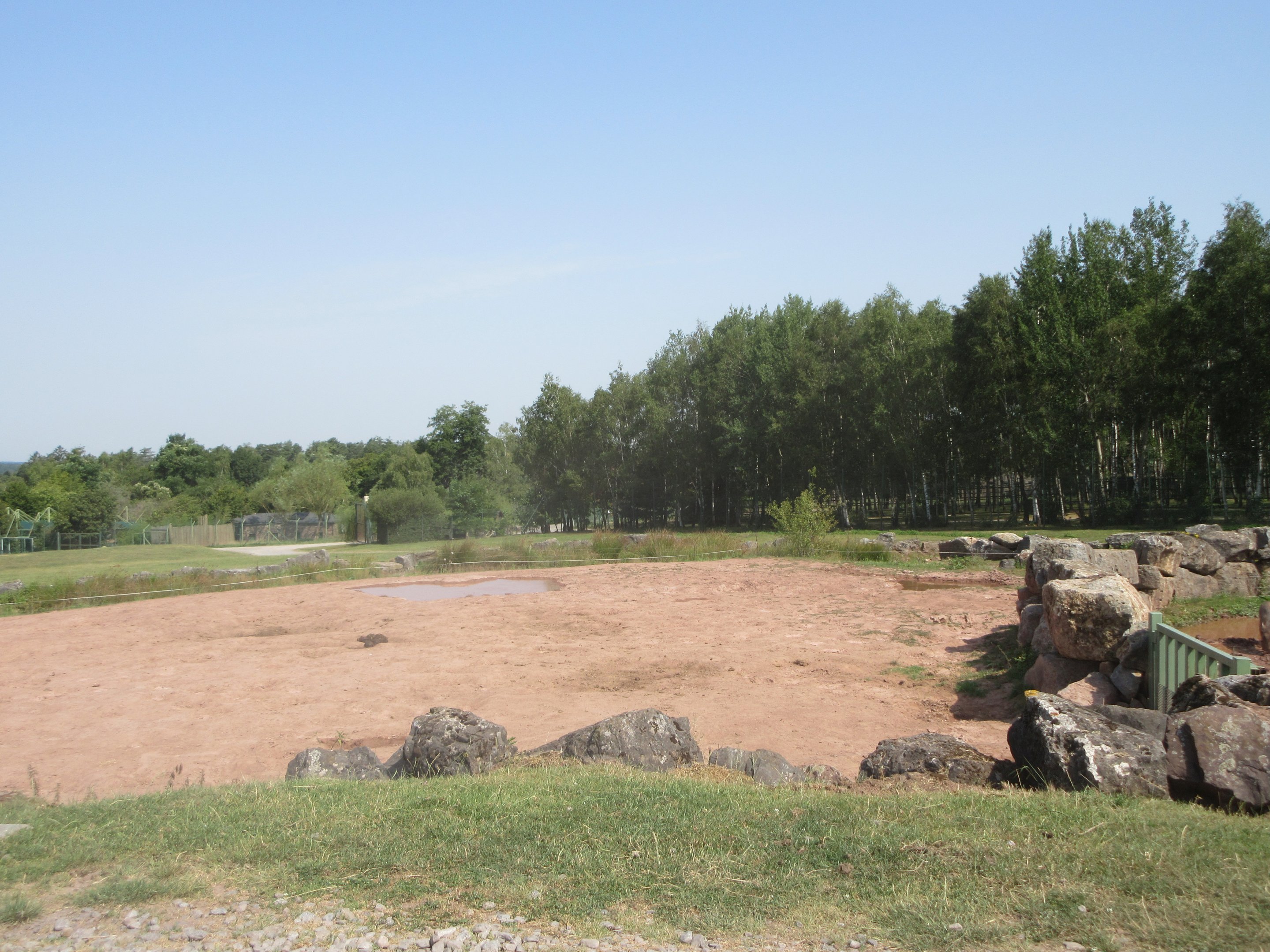 African Safari - White Rhino/Warthog Exhibit