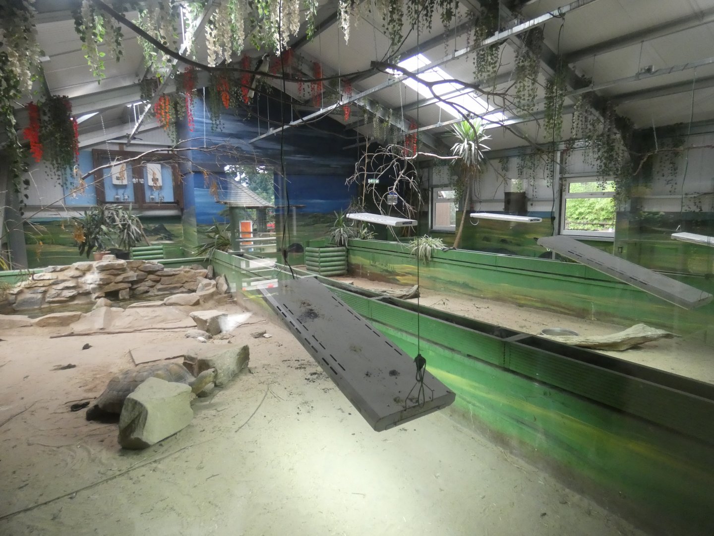 African Sands interior