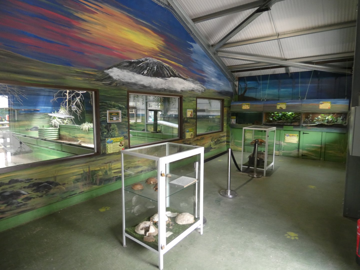 African Sands viewing area