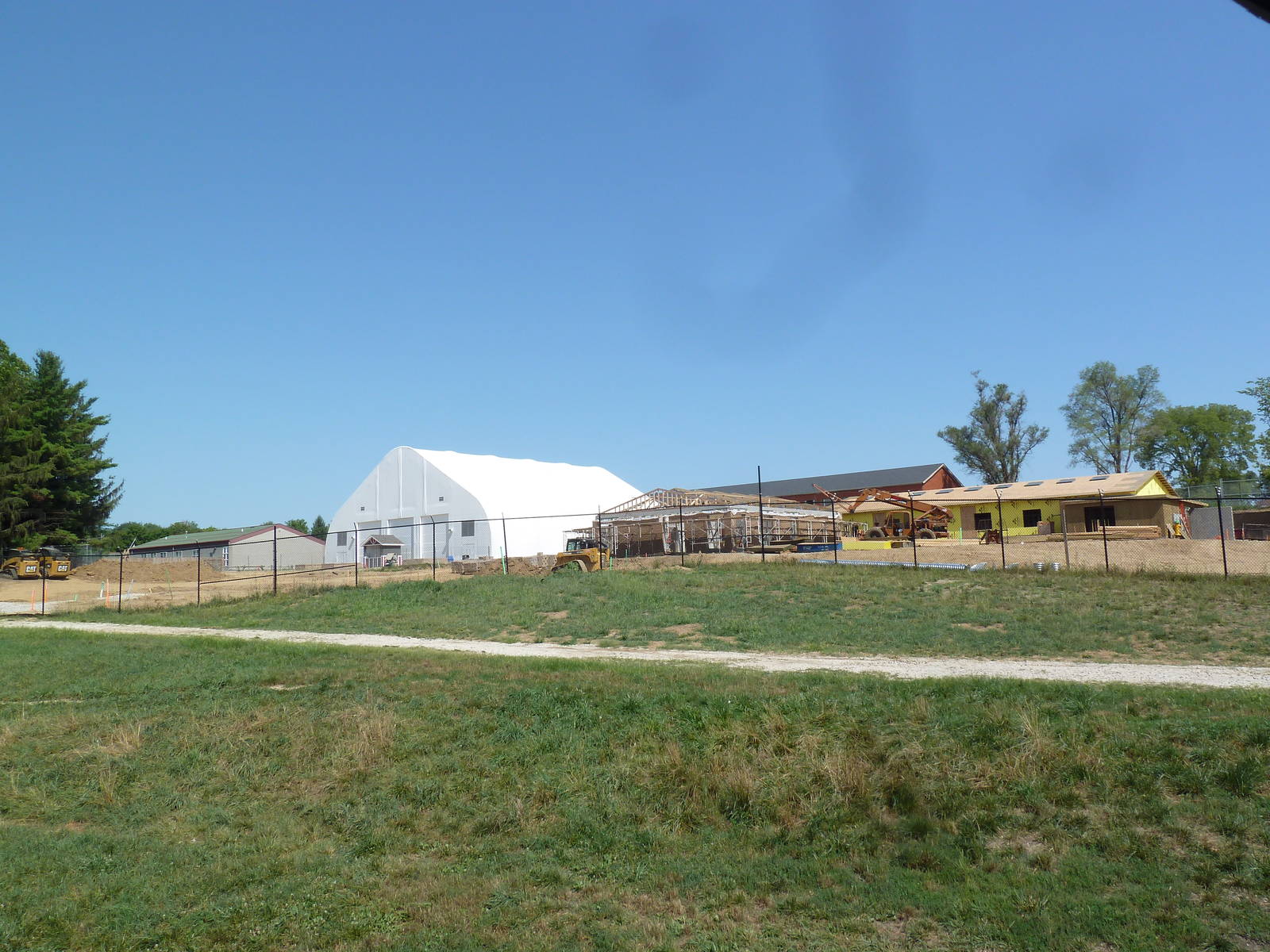 African Savanna (4-Species)