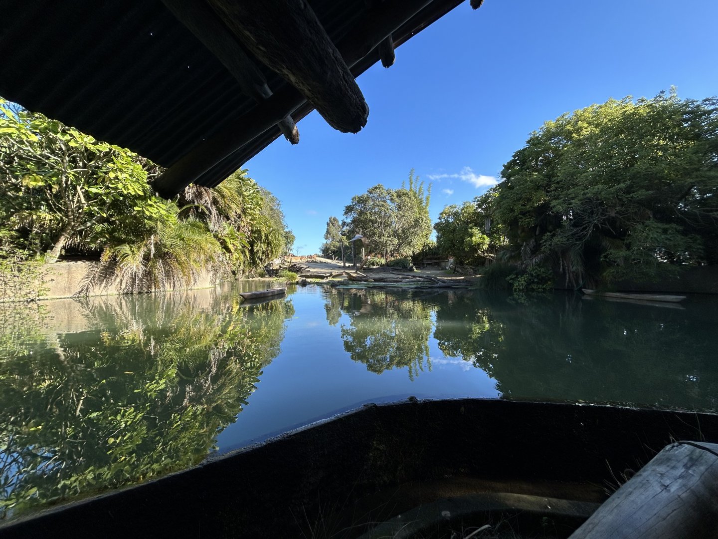 African Savanna (6 Species) - African Safari Track