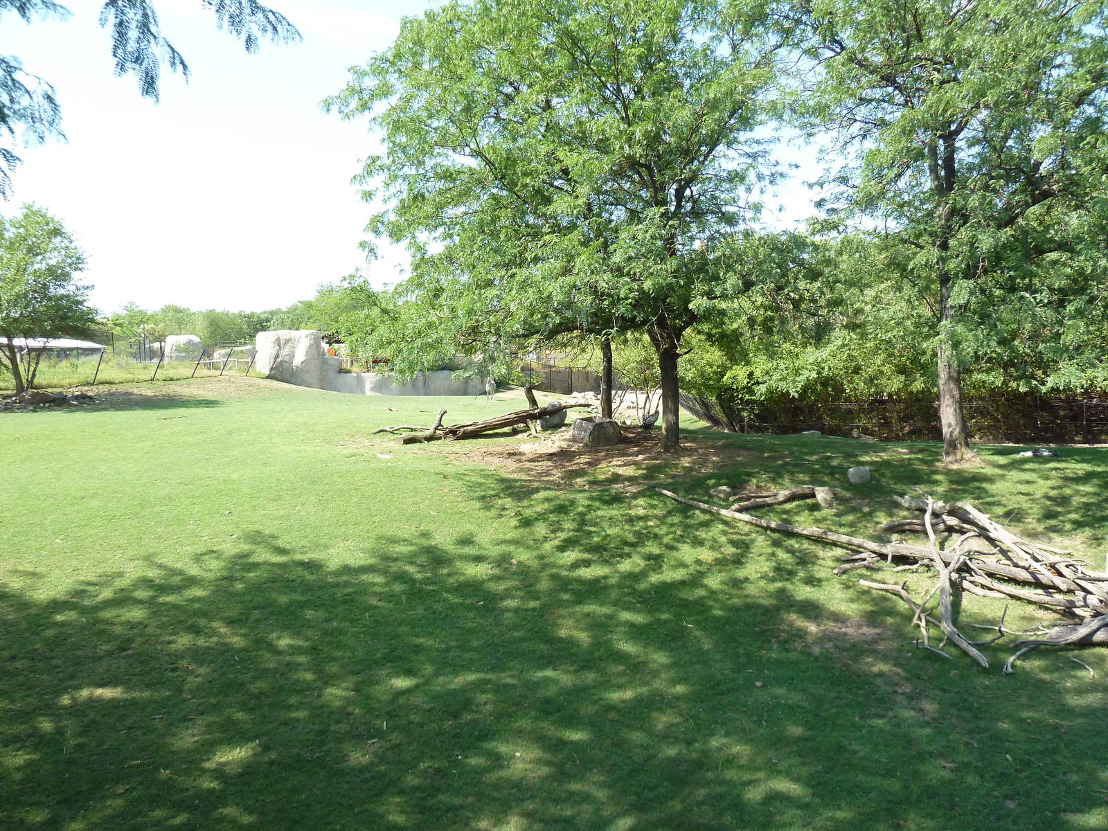 African Savanna (6 Species)