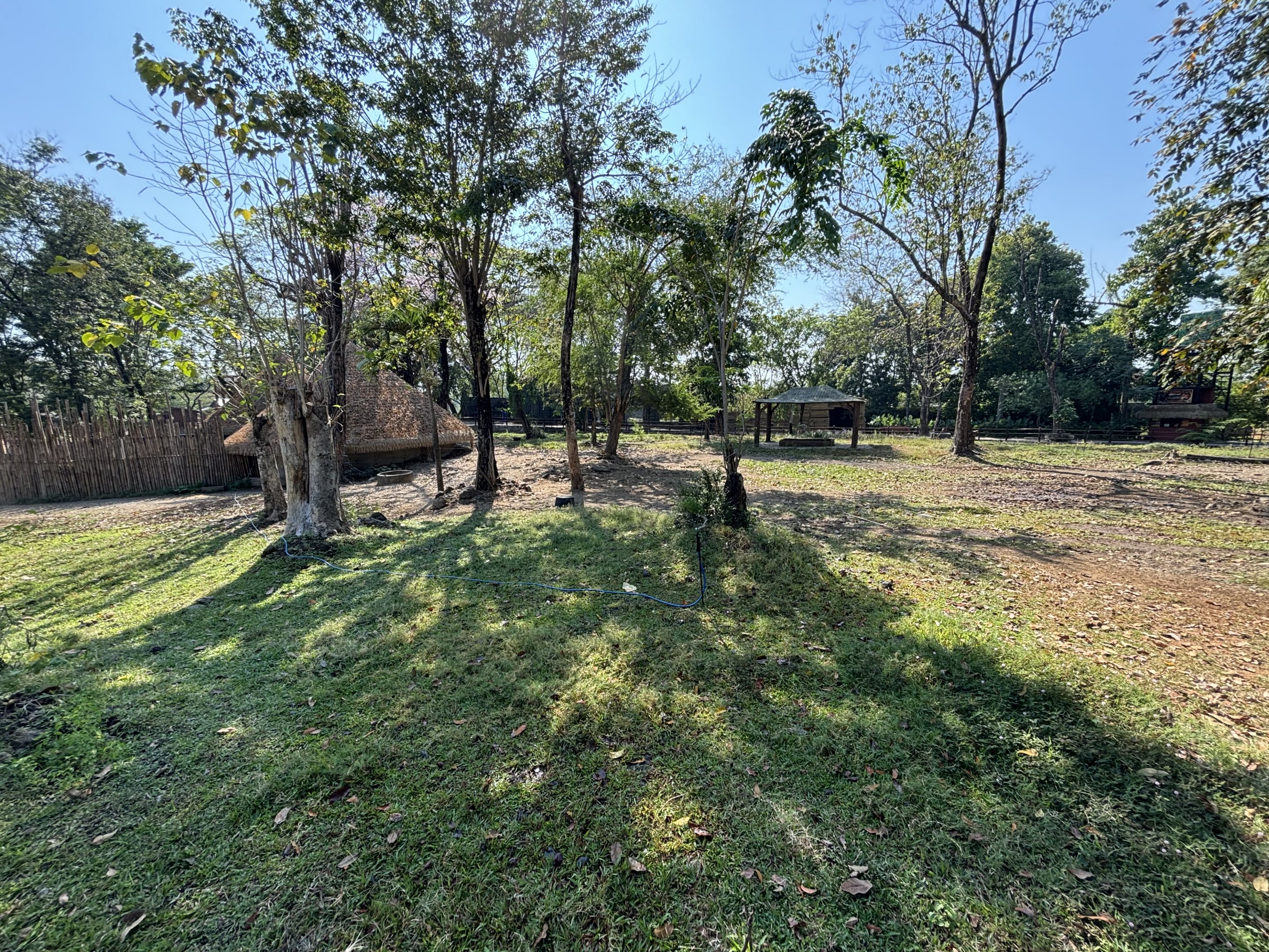 African Savanna (7 species) - Solo Safari