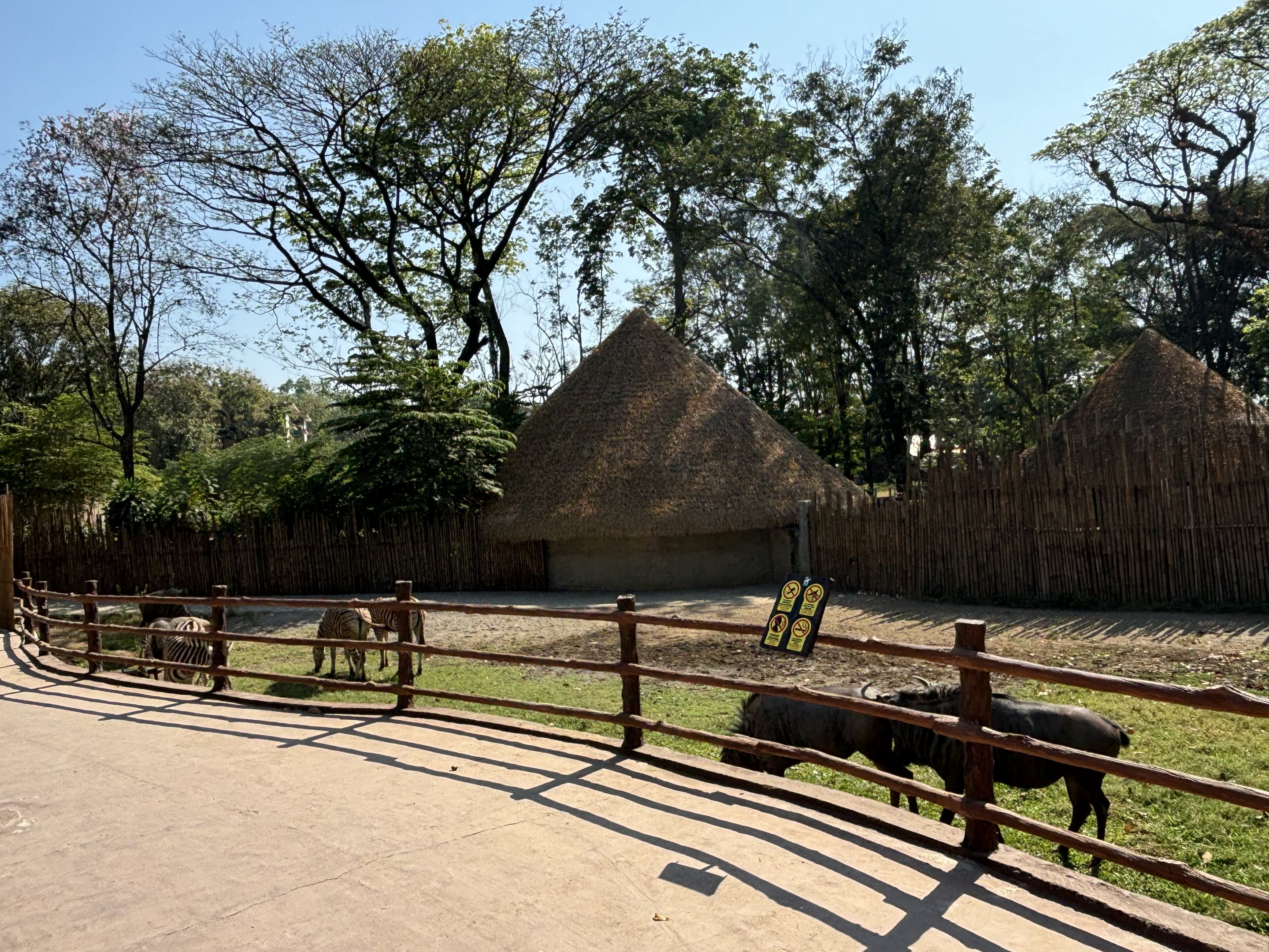 African Savanna (7 species) - Solo Safari