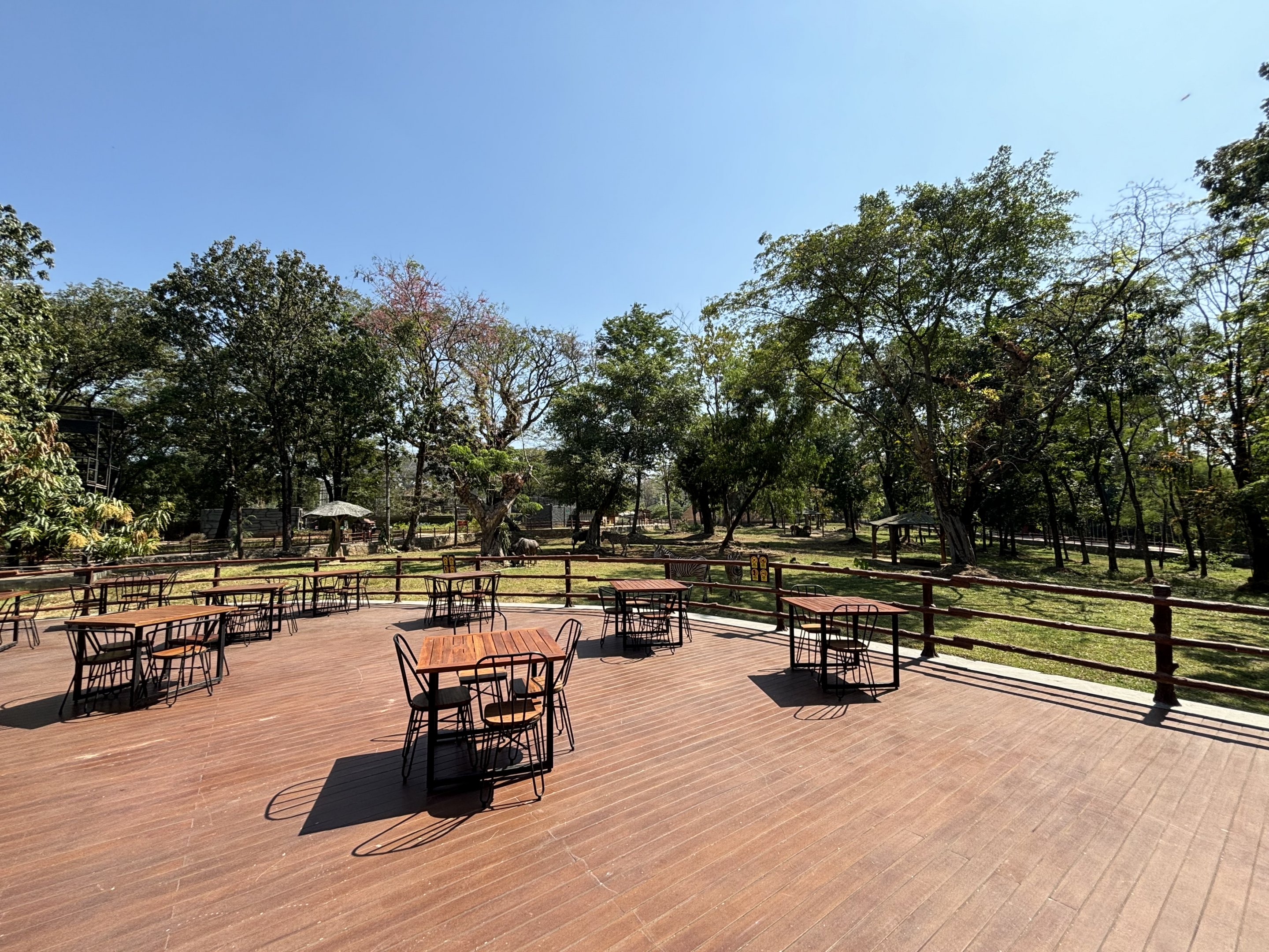 African Savanna (7 species) - Solo Safari