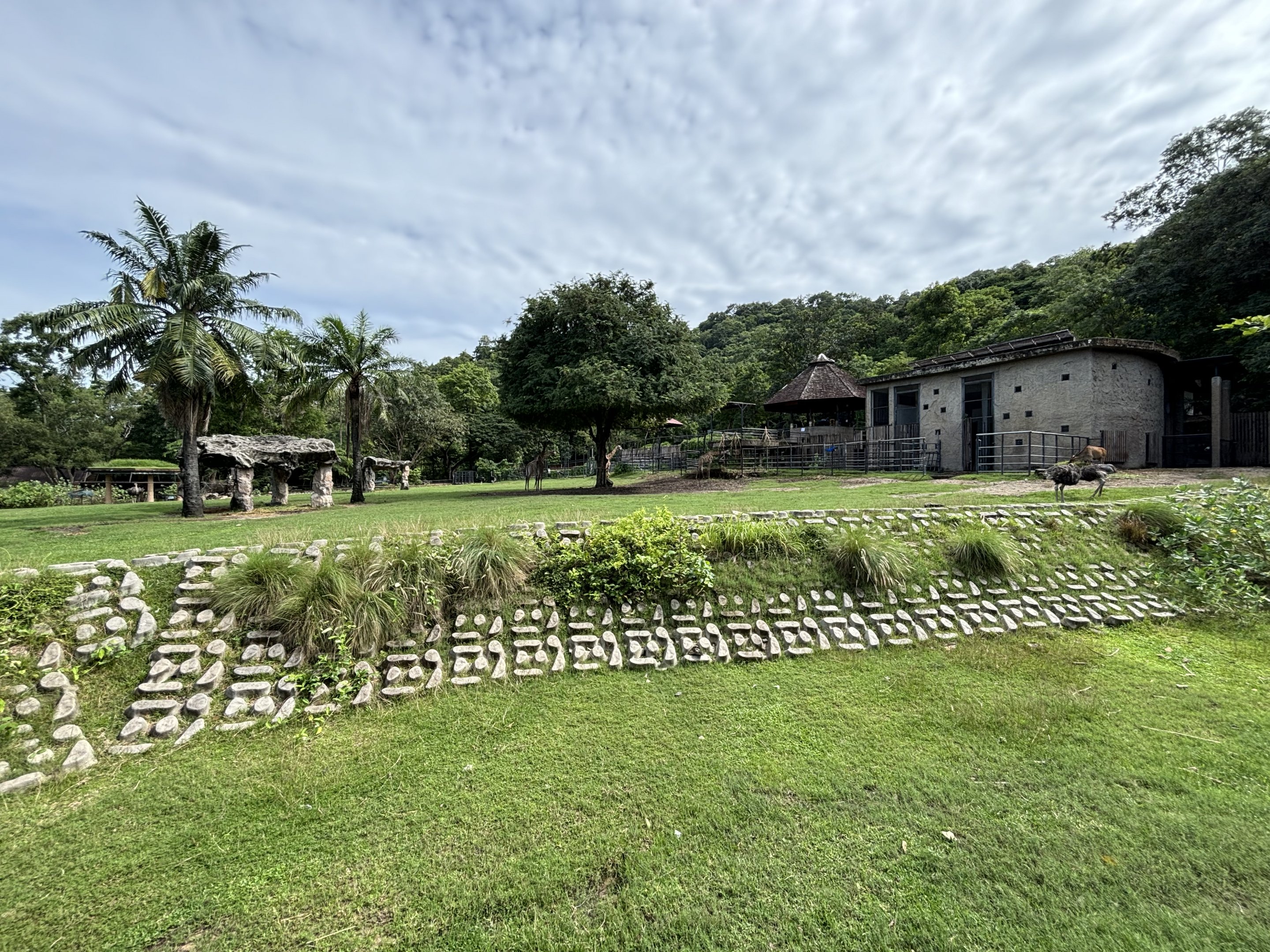 African Savanna (7 species)