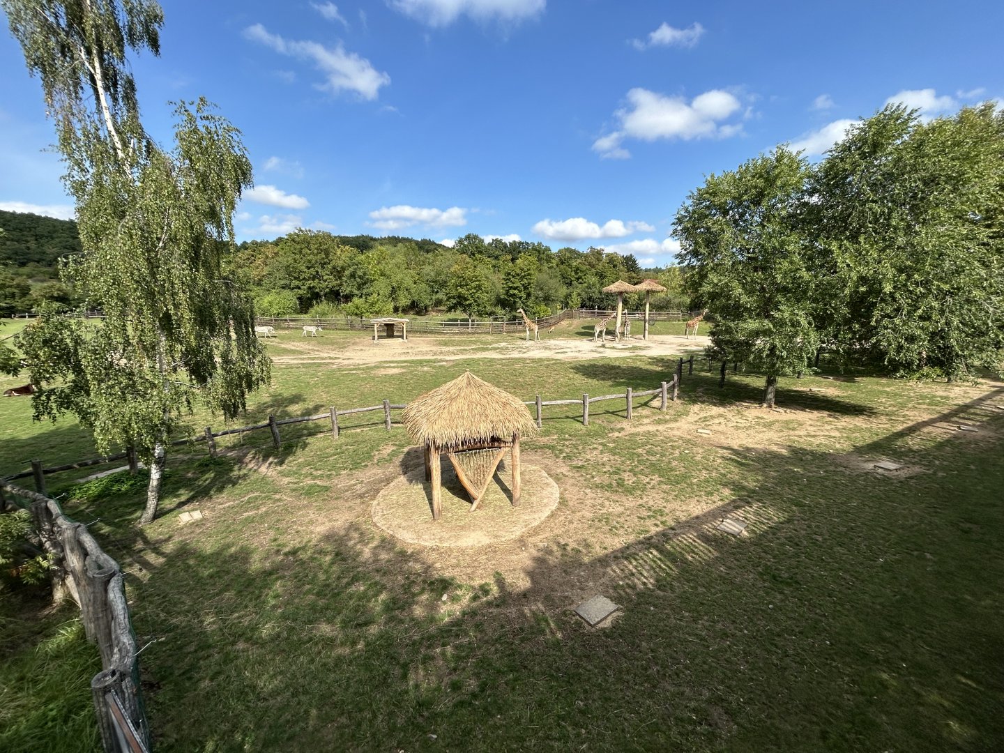 African Savanna (7 Species)