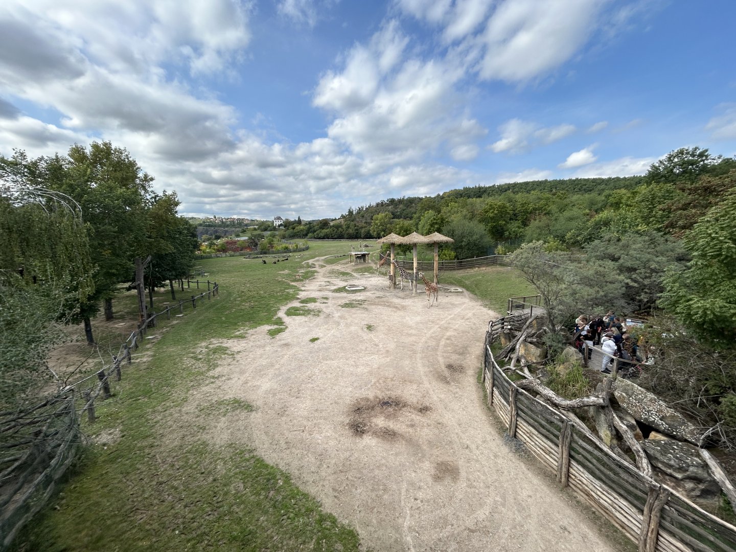 African Savanna (7 Species)