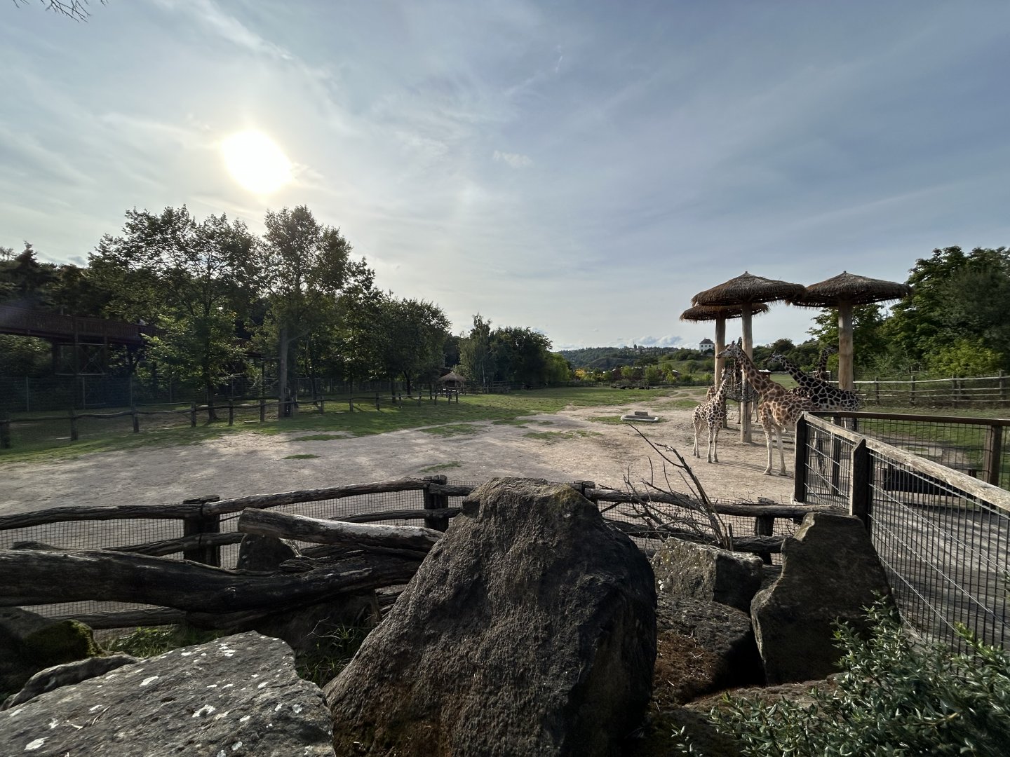 African Savanna (7 Species)