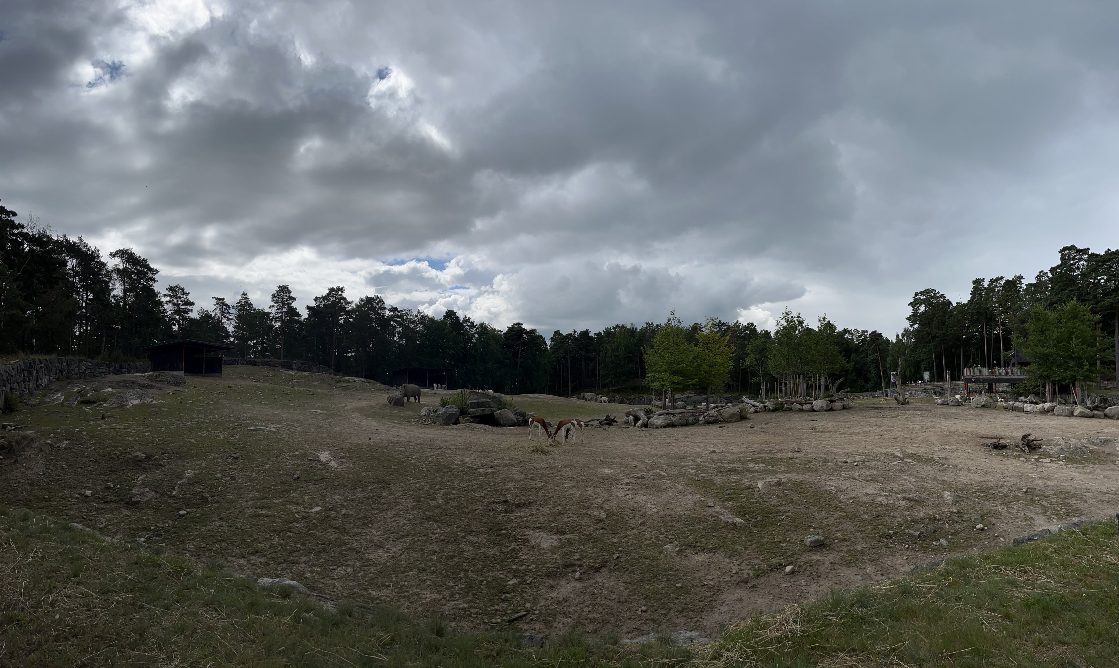 African Savanna - about to rain