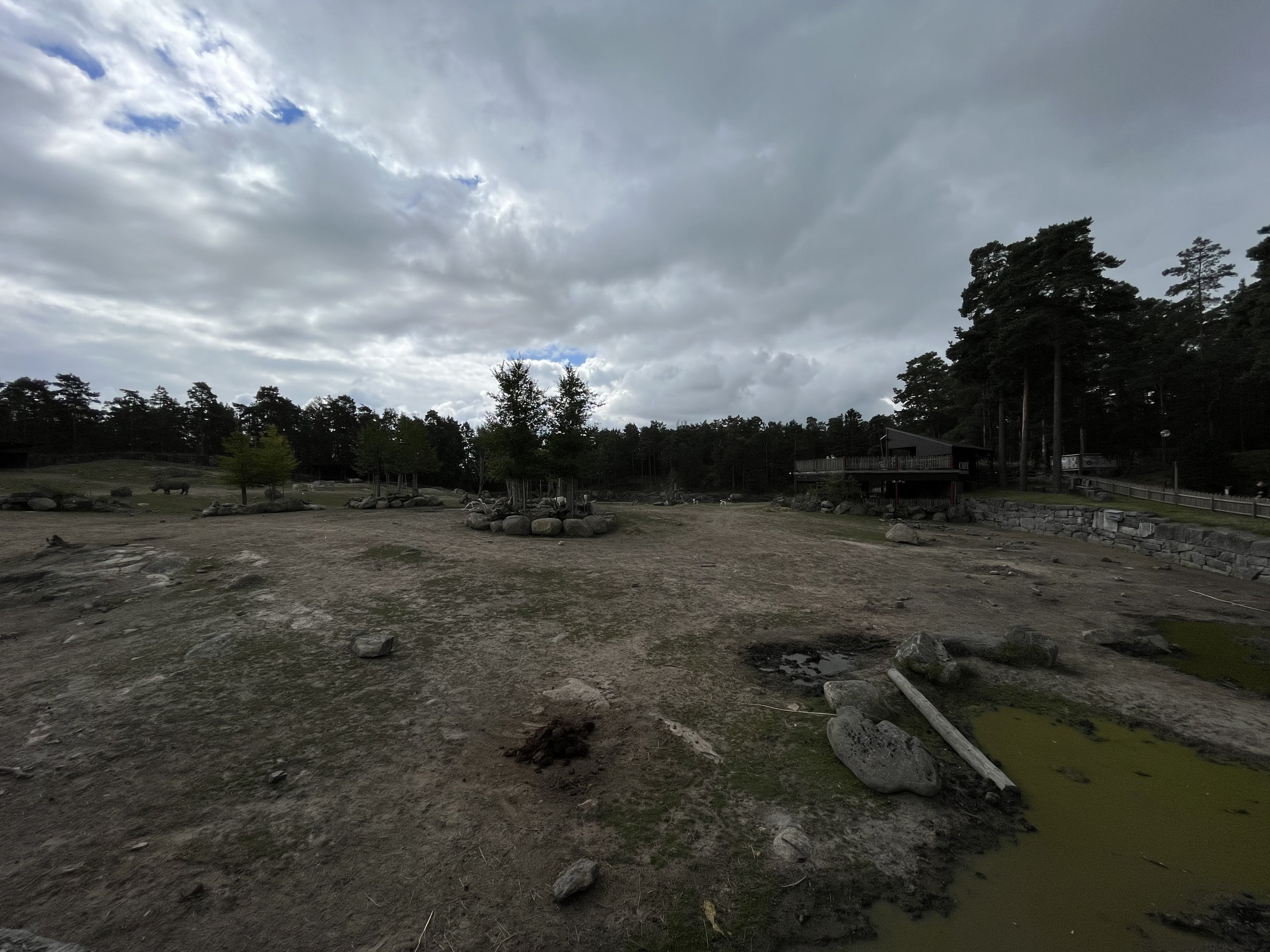 African Savanna - about to rain