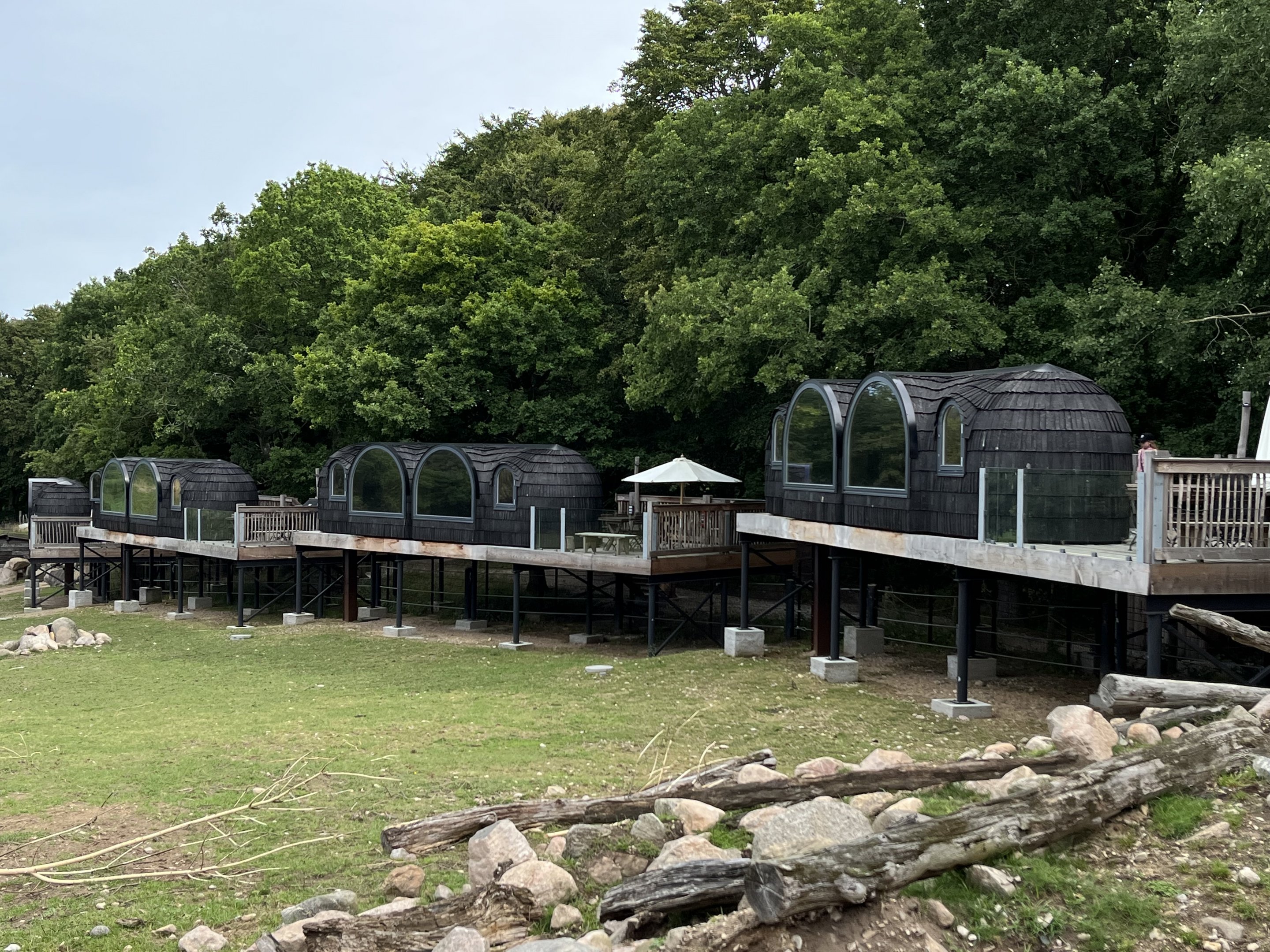 African Savanna - accommodation