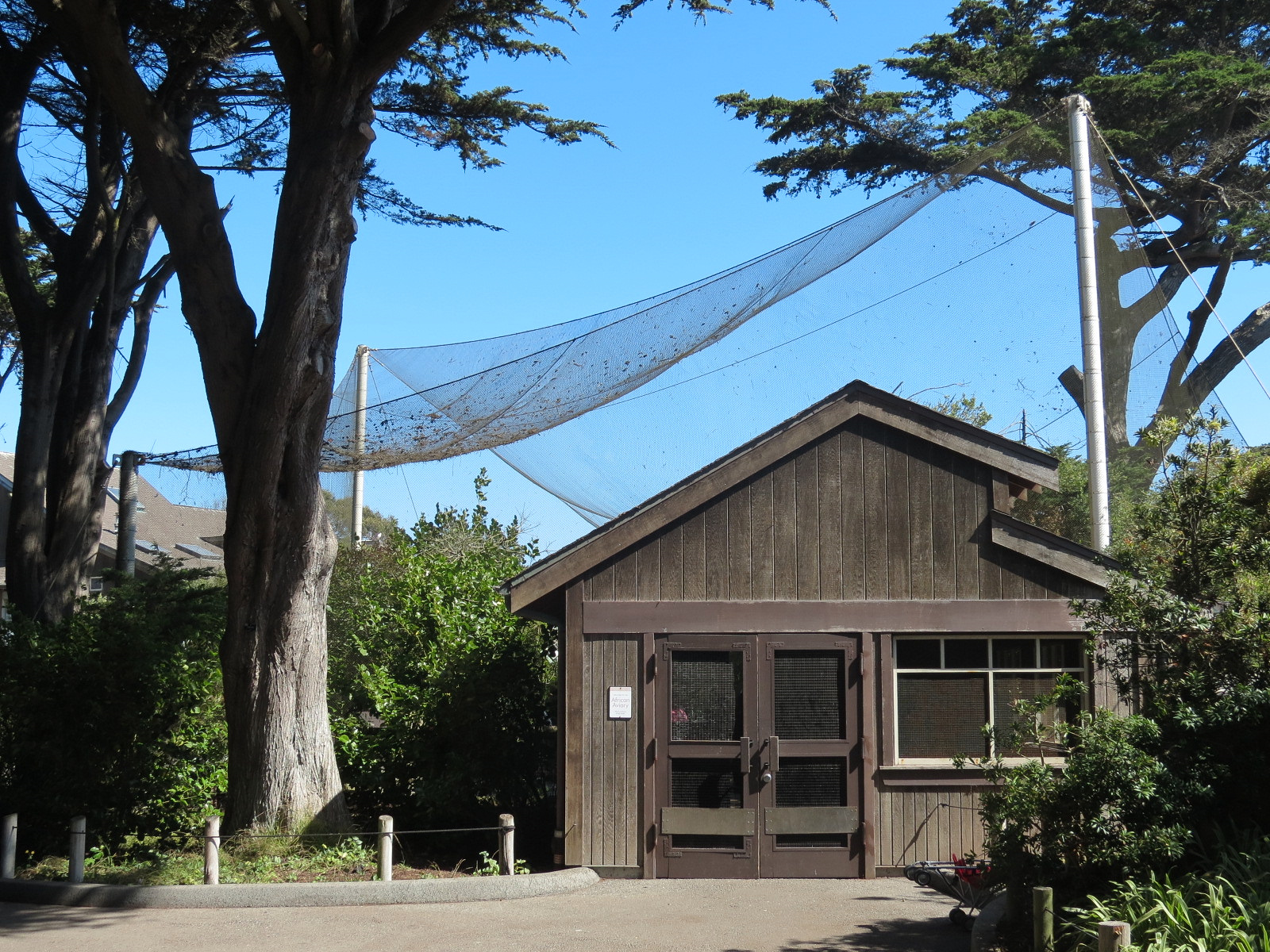 African Savanna - African Aviary