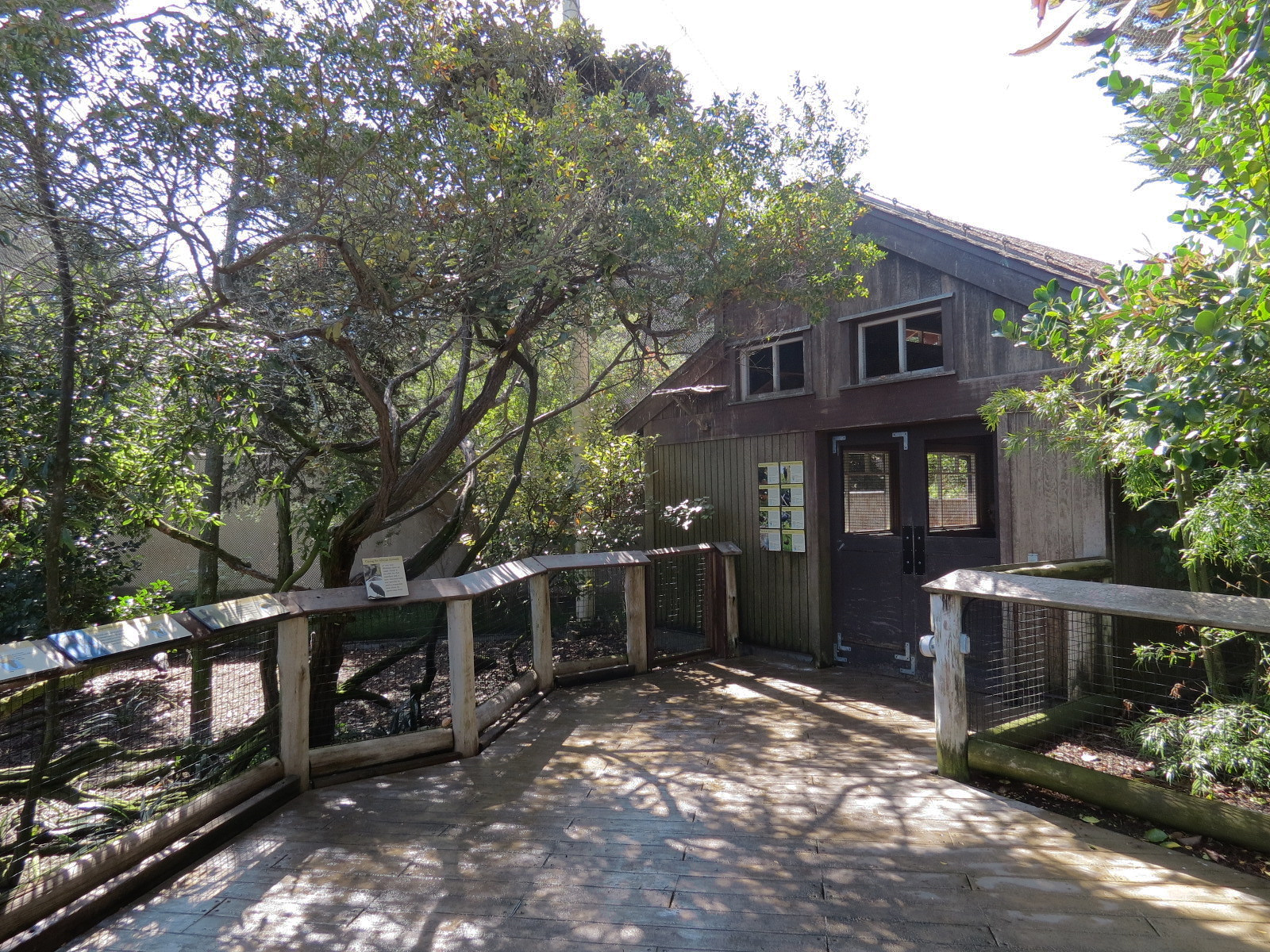 African Savanna - African Aviary