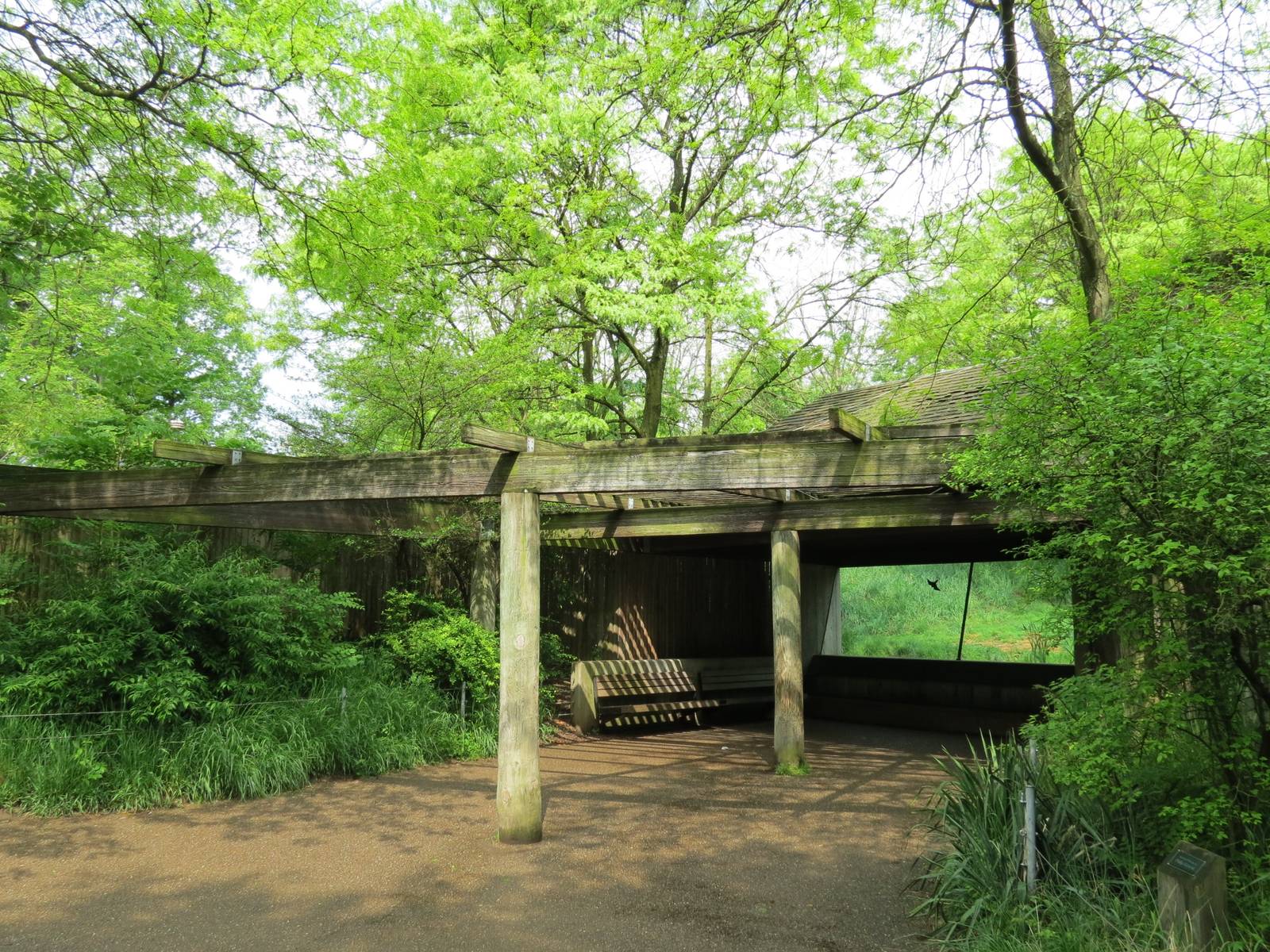 African Savanna - African Lion Exhibit Viewing Shelter