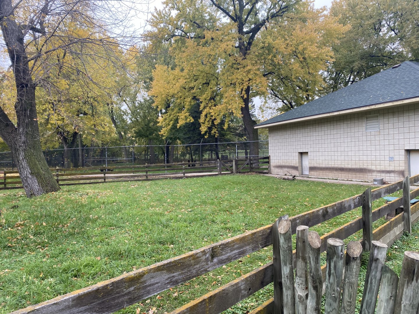 African Savanna - African Spurred Tortoise/Leopard Tortoise Exhibit