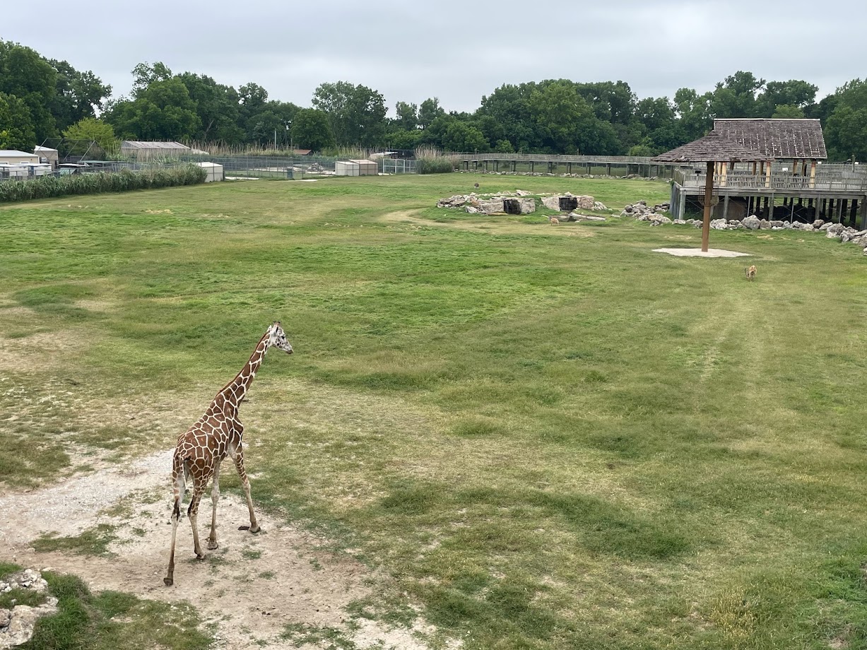 African Savanna at Frank Buck Zoo