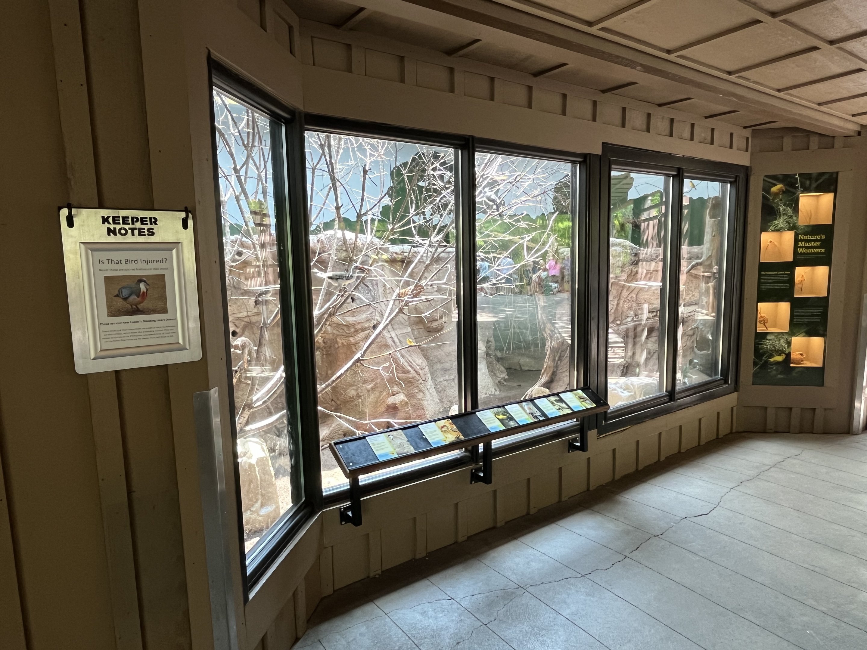 African Savanna Aviary (6 Species)