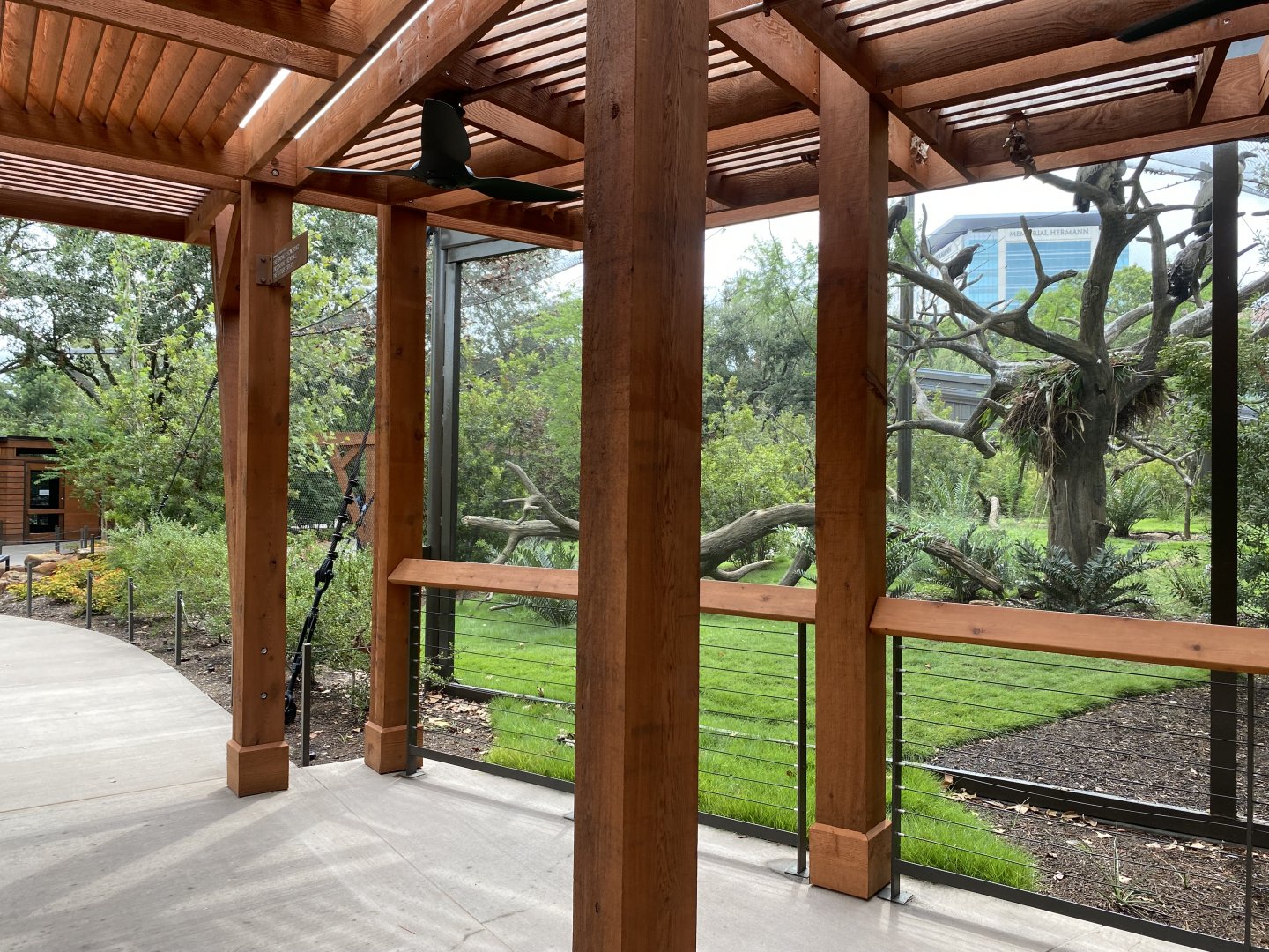 African Savanna Aviary Second Viewing