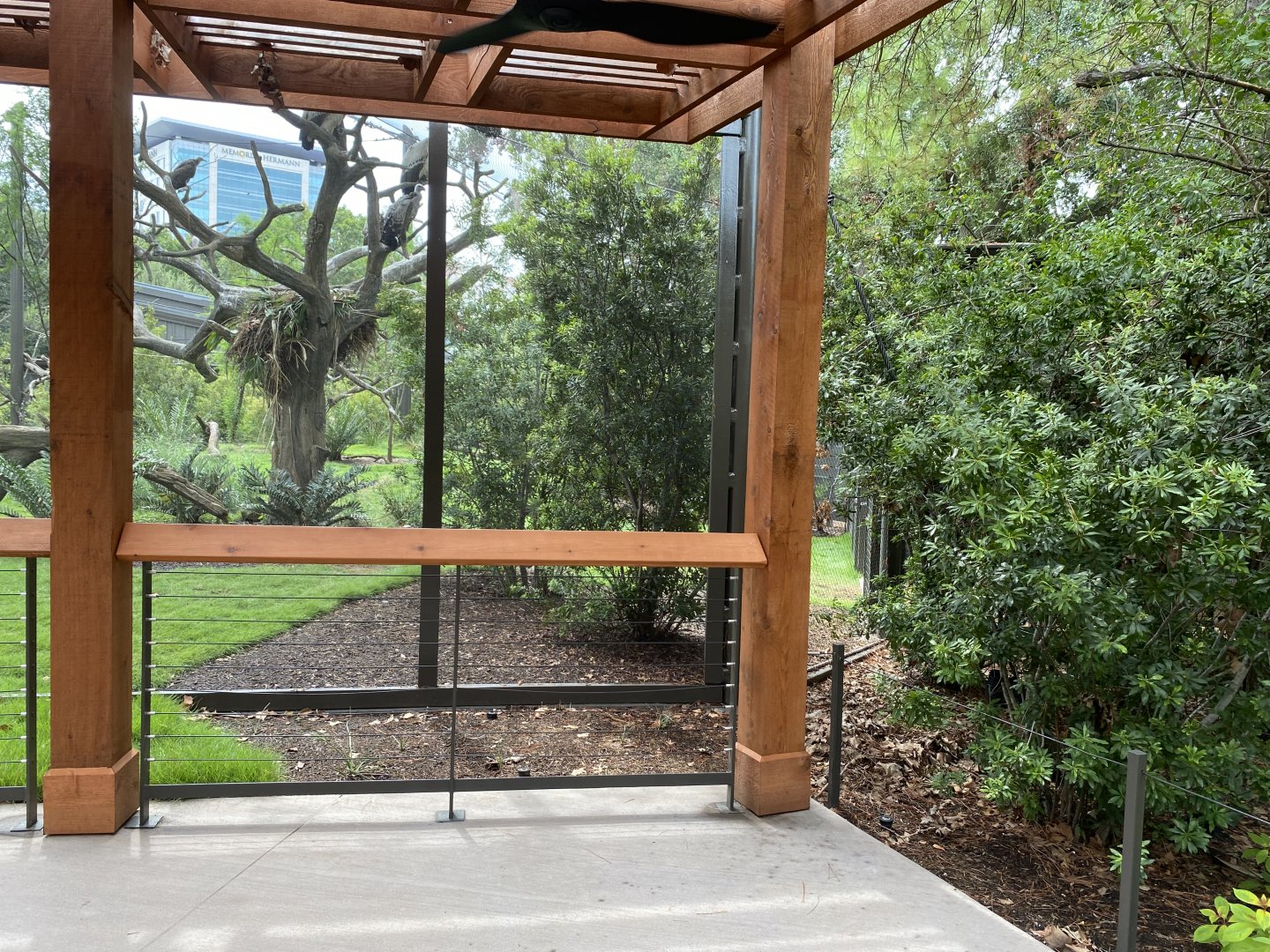 African Savanna Aviary Second Viewing