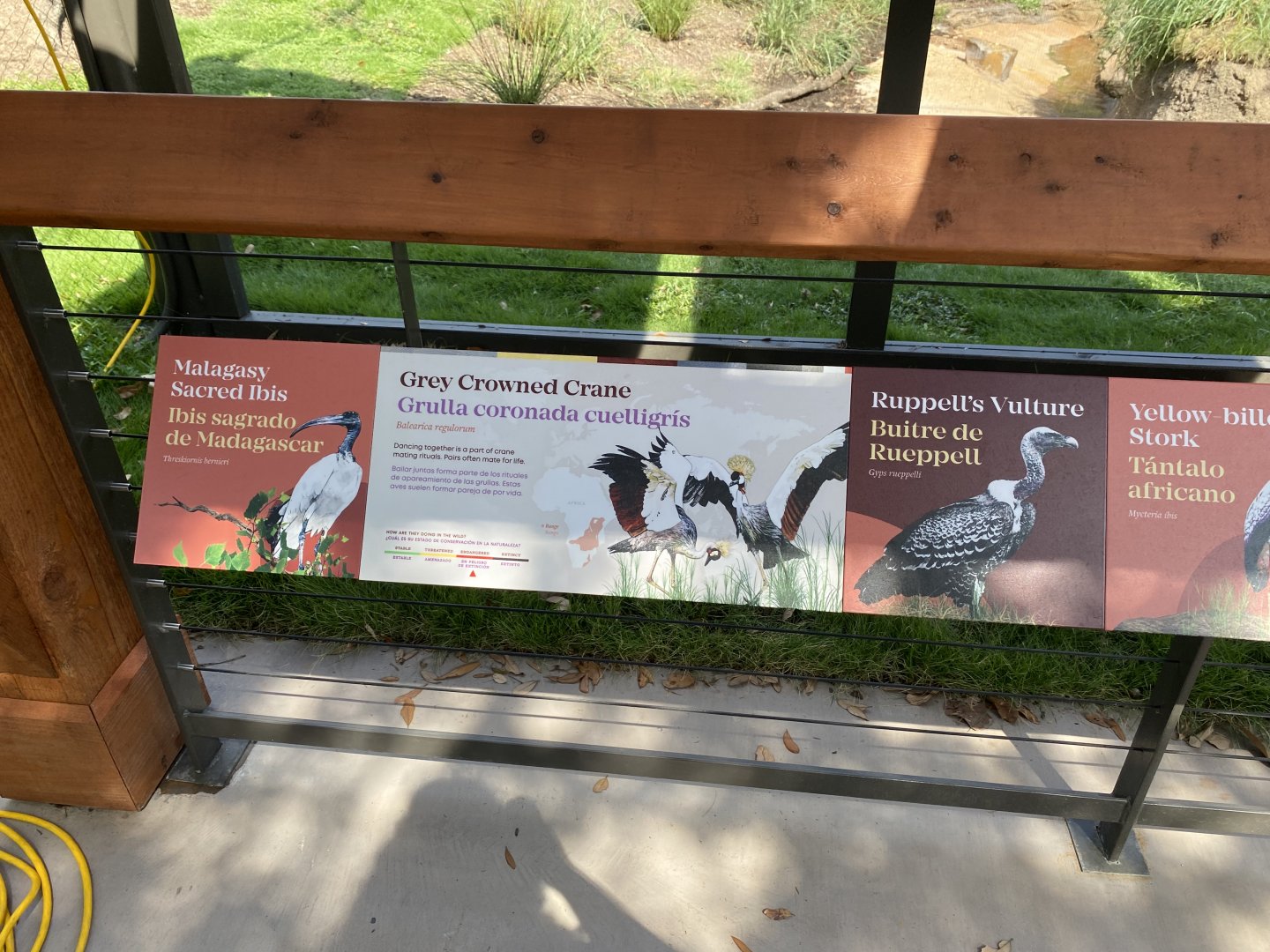 African Savanna Aviary Signage